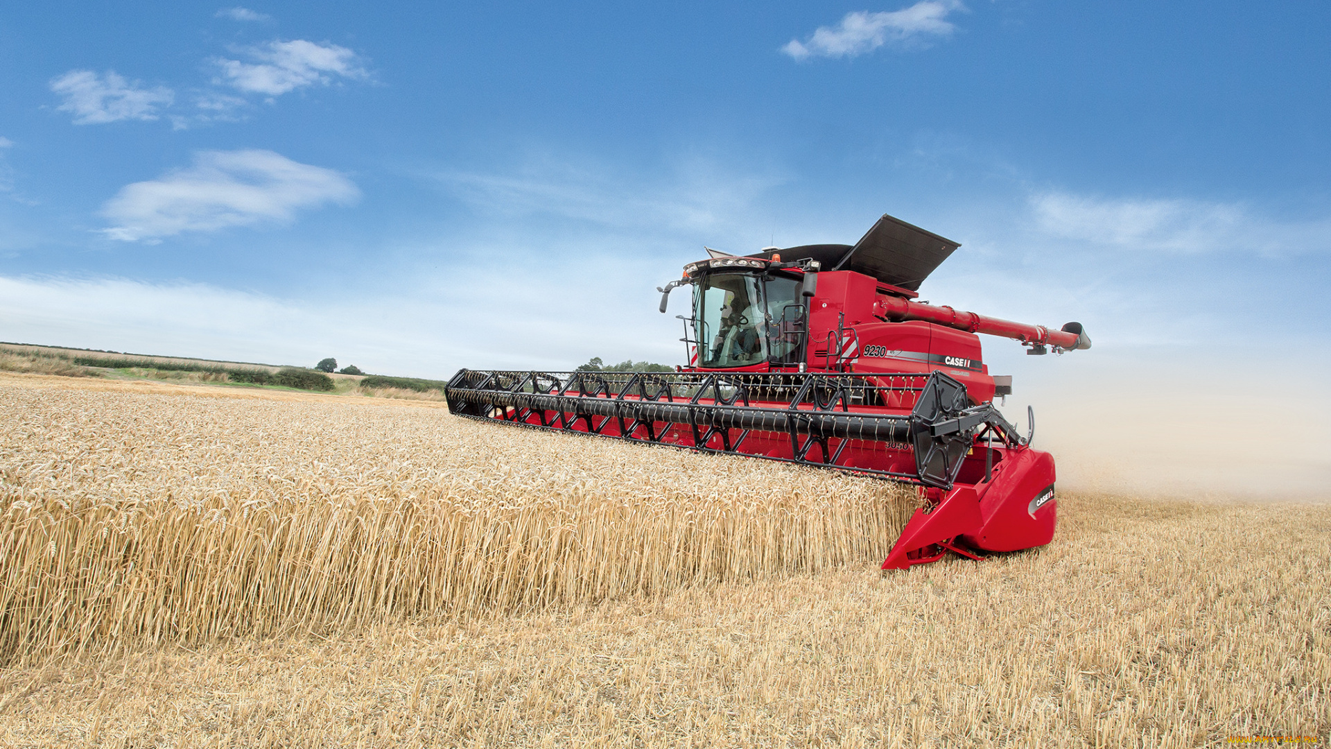 техника, комбайны, жатва, комбайн, поле