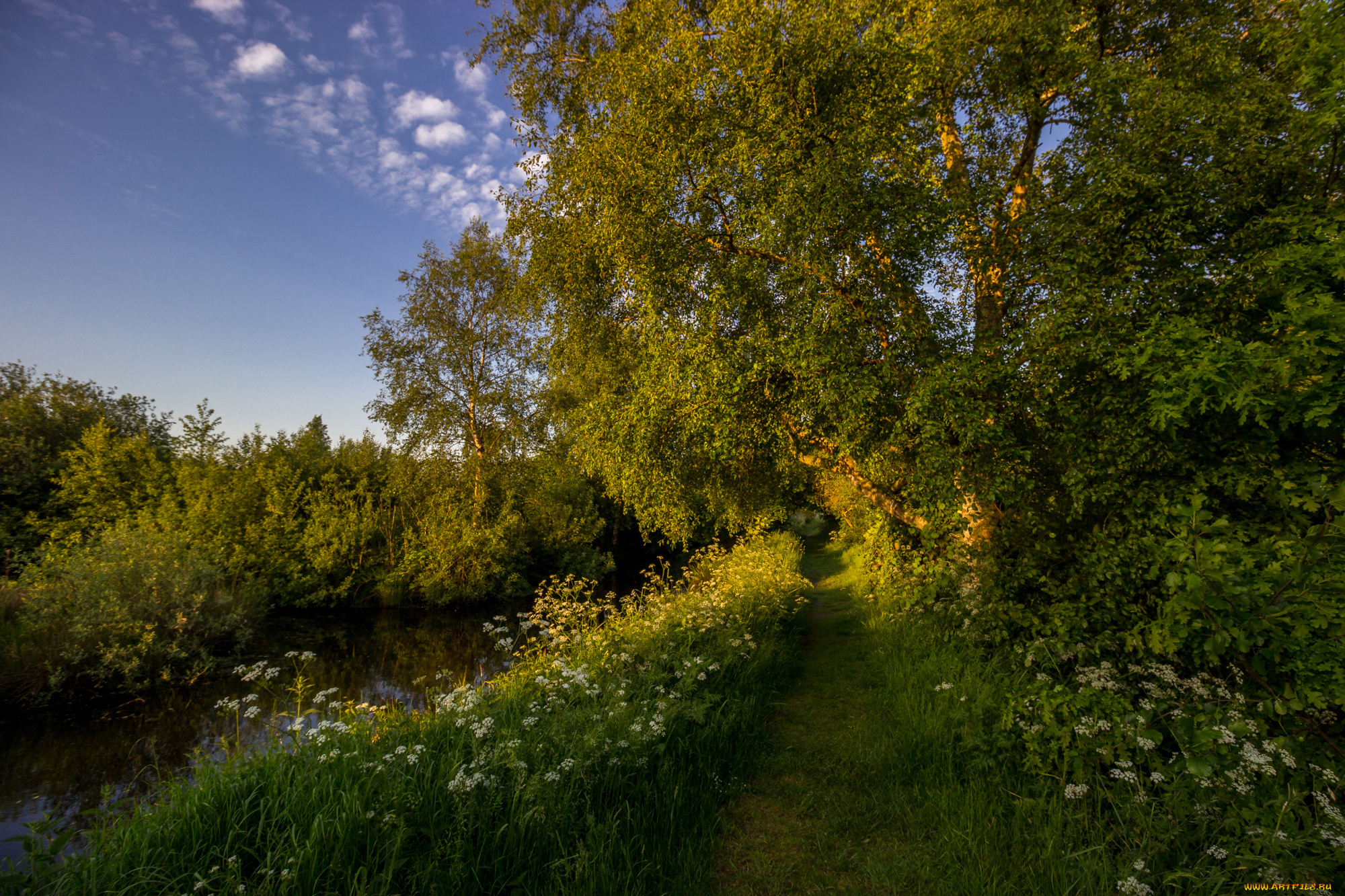 природа, реки, озера, лес, река, тропинка