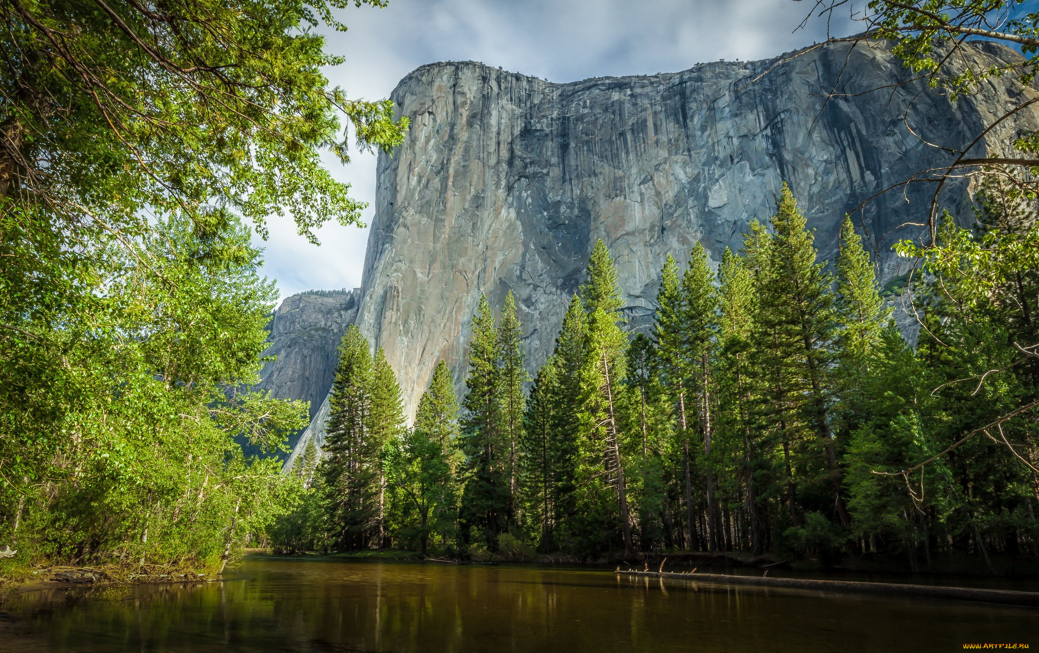 природа, реки, озера, горы, лес, река