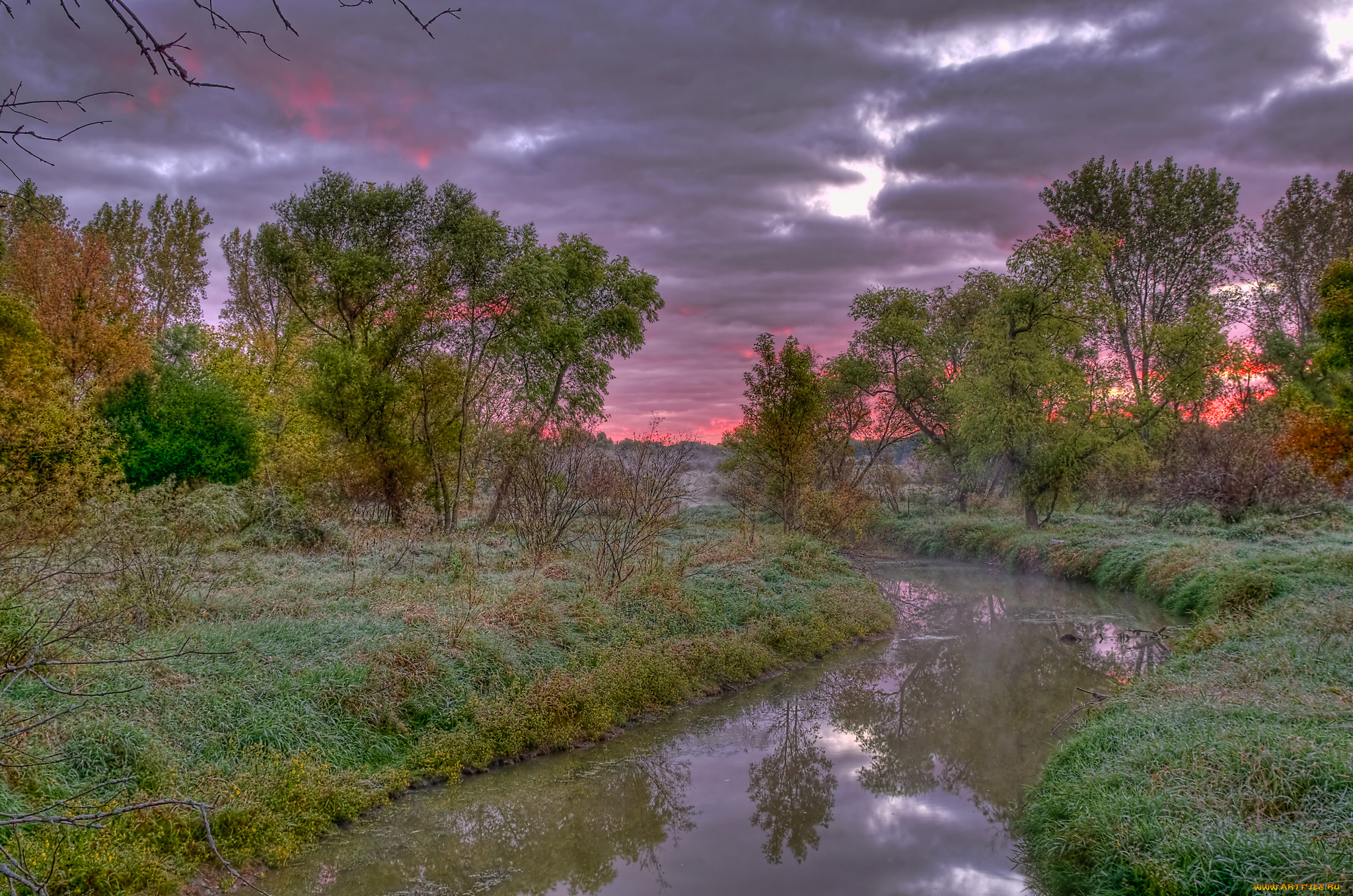 природа, реки, озера, лес, река