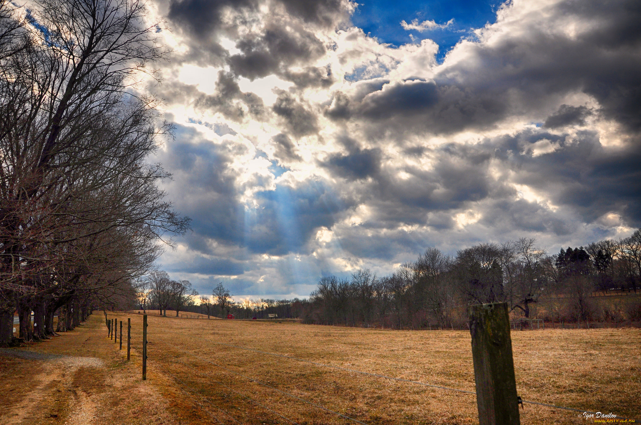 природа, поля, небо, поле, деревья, облака, лучи