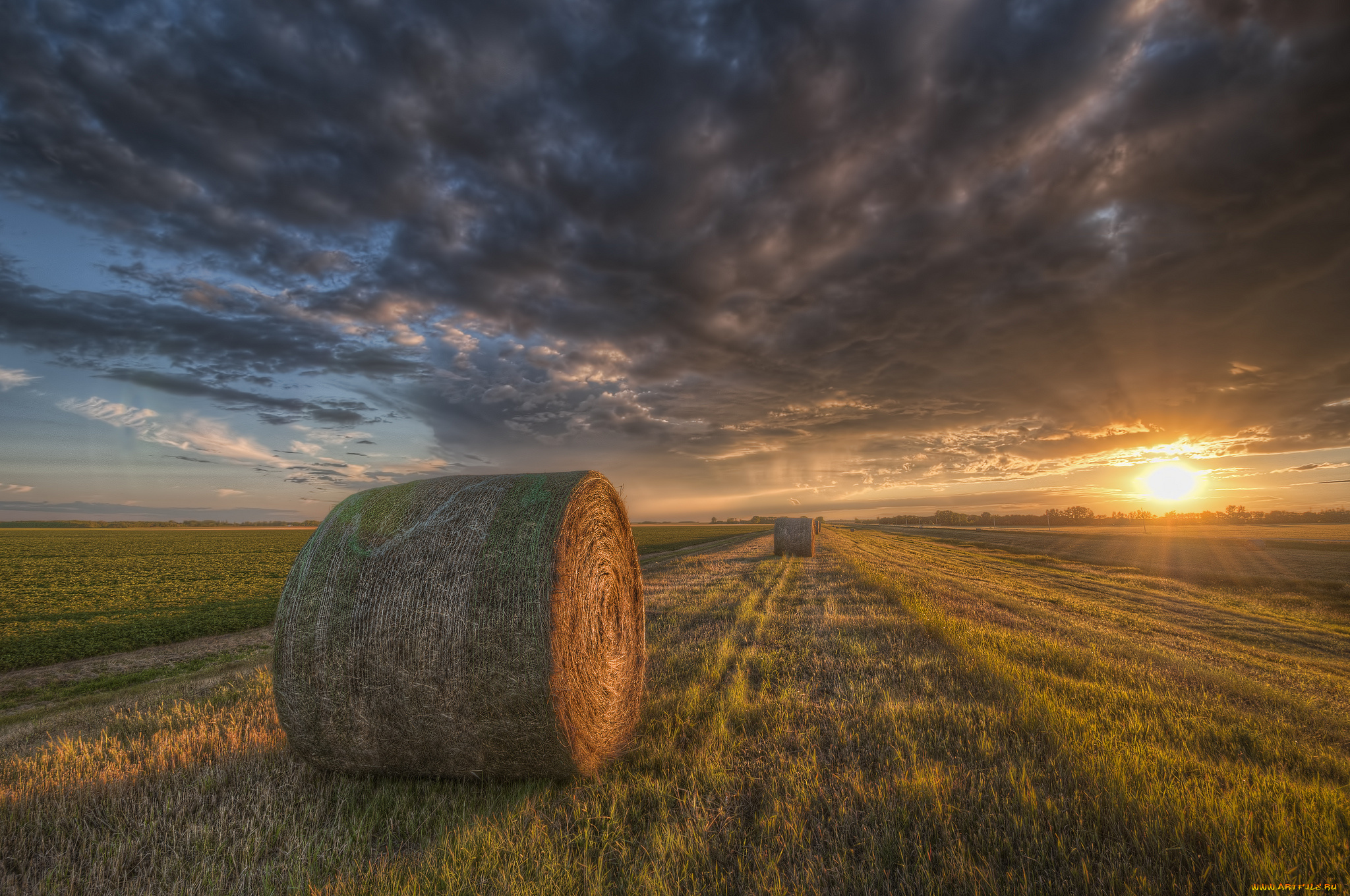природа, восходы, закаты, рассвет, жнивье