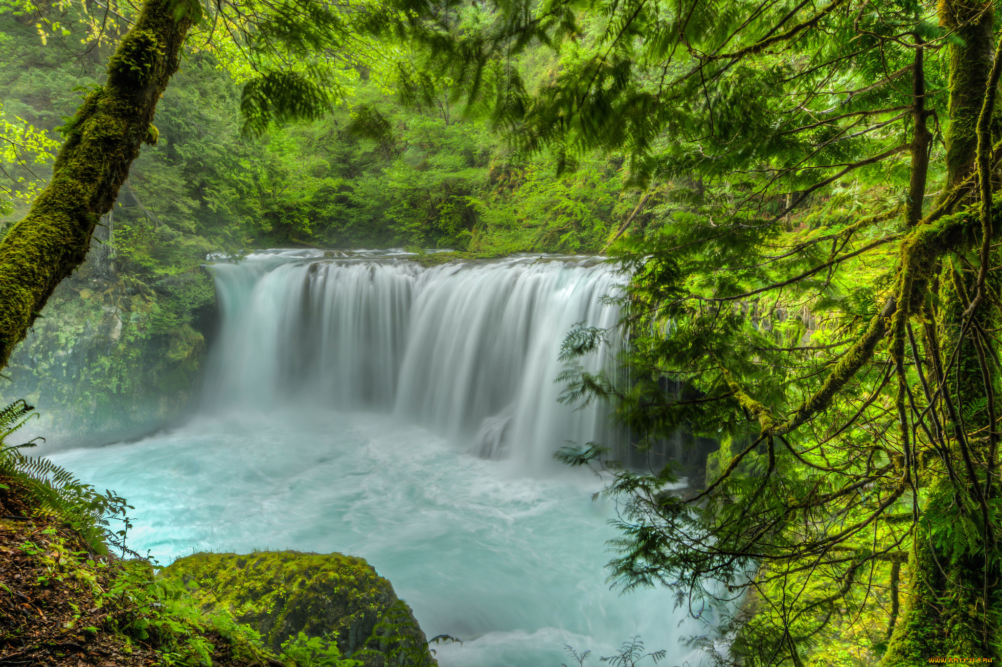 природа, водопады, водопад, река, лес