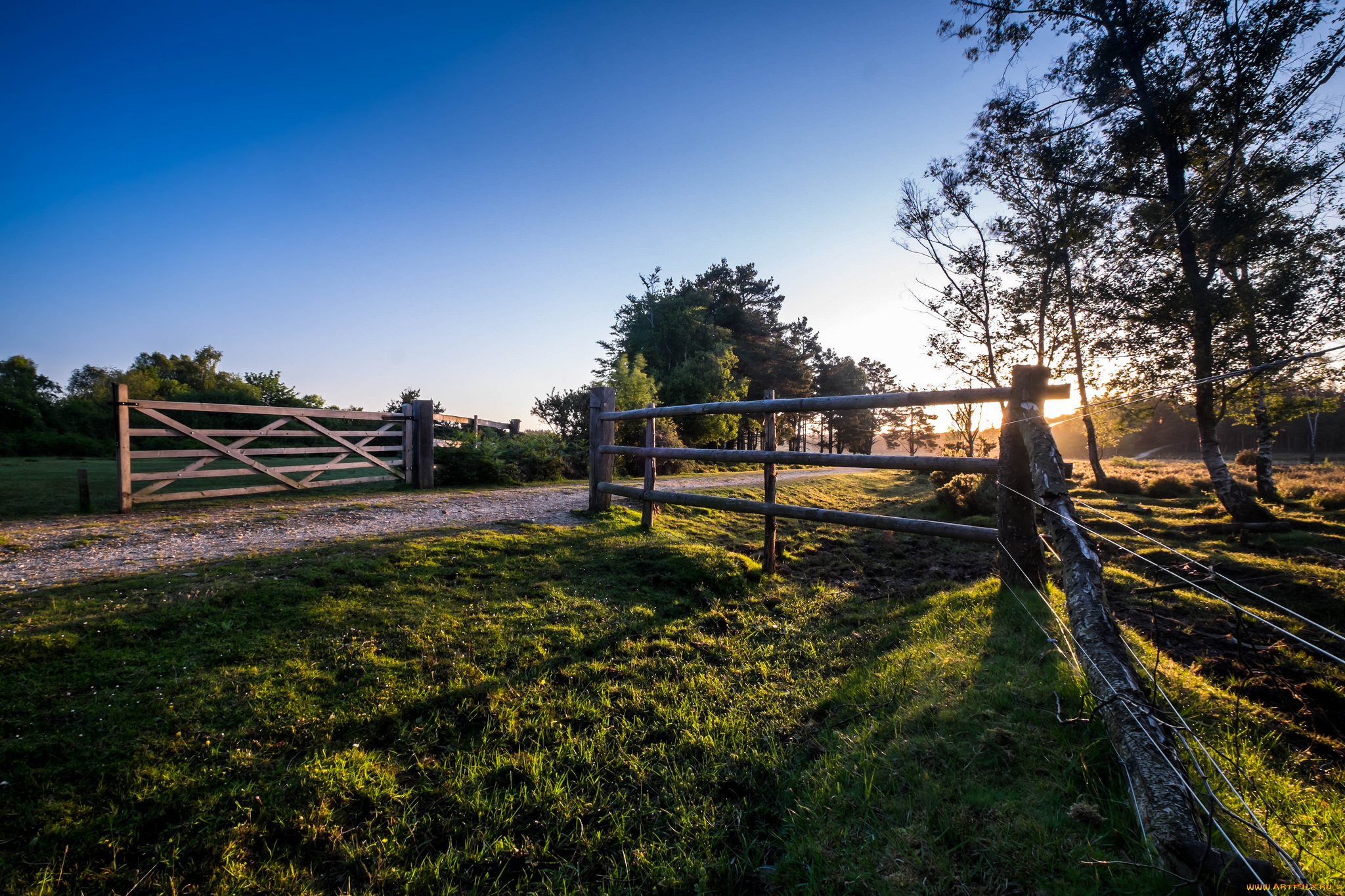 природа, дороги, поле, изгородь, тракт