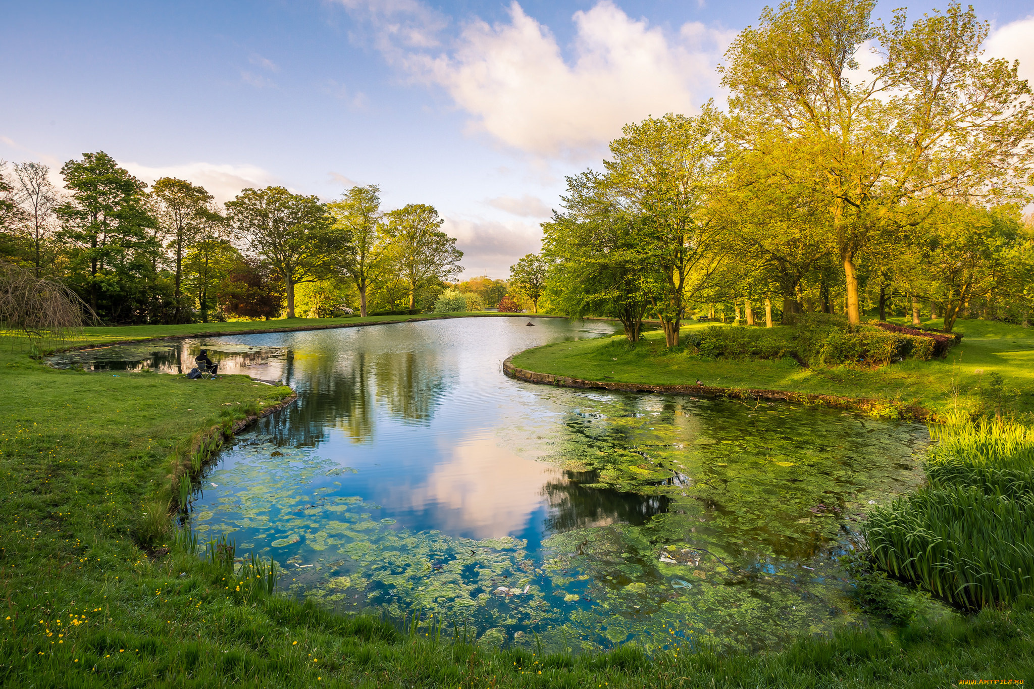 природа, реки, озера, лес, река