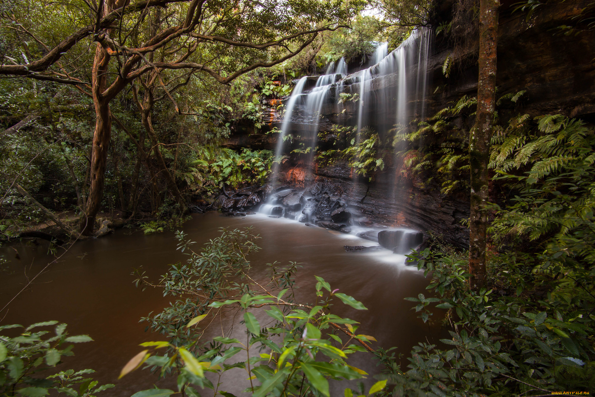 природа, водопады, лес, река, водопад