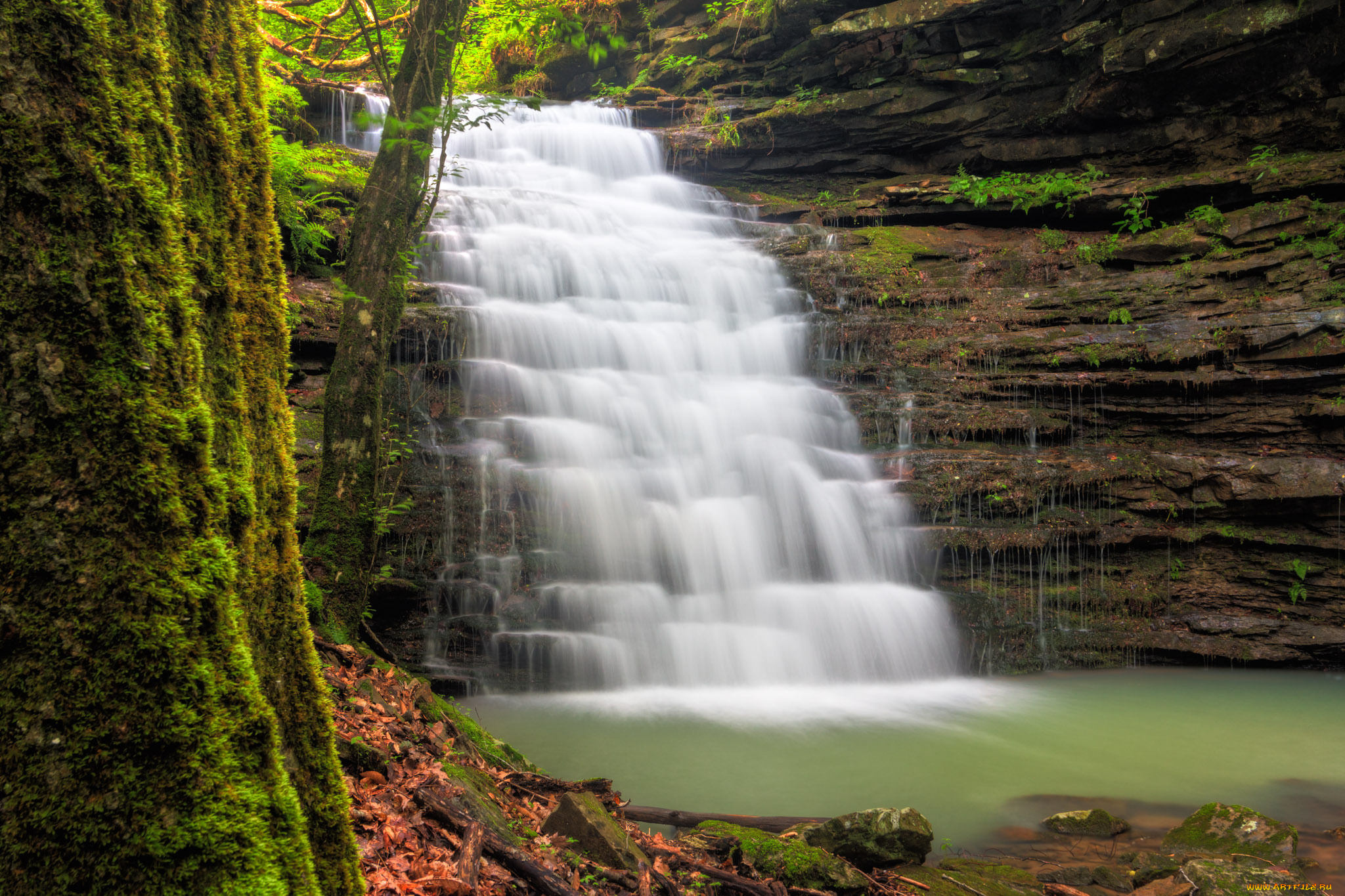 природа, водопады, водопад, река, лес