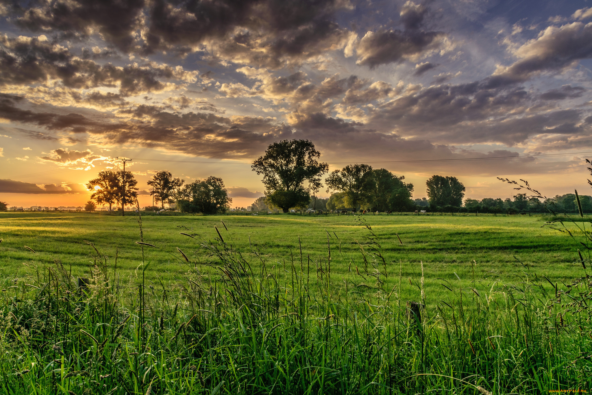 природа, восходы, закаты, поле, рассвет