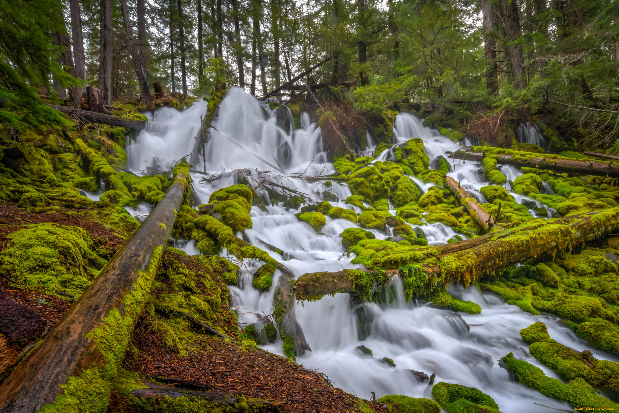 природа, водопады, водопад, река, лес