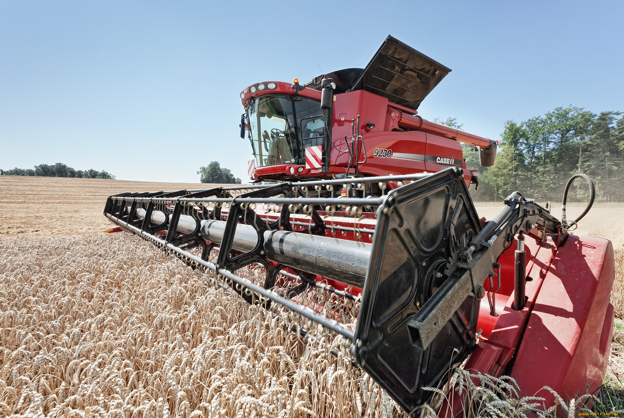 техника, комбайны, комбайн, поле, жатва