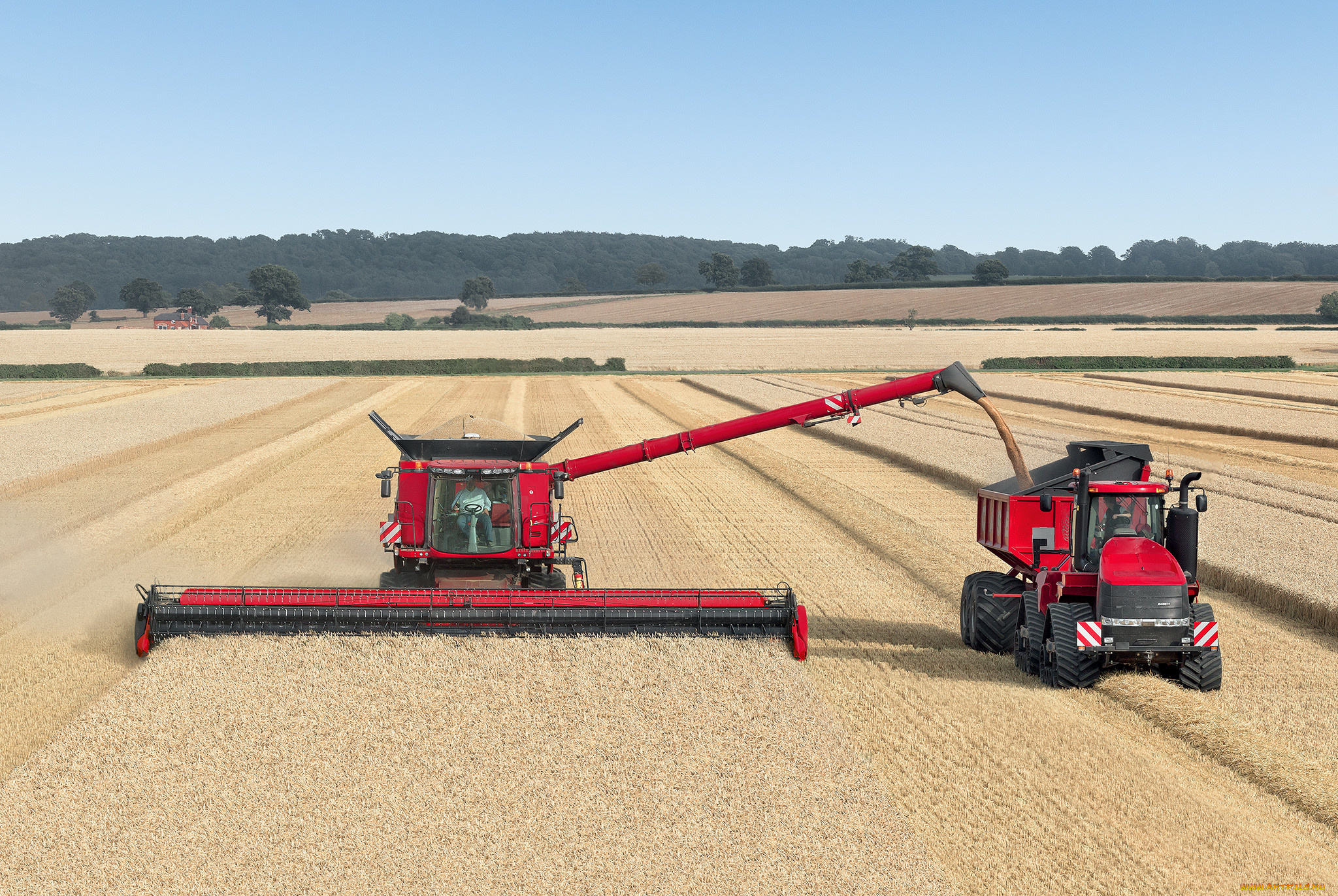 техника, комбайны, поле, комбайн, жатва