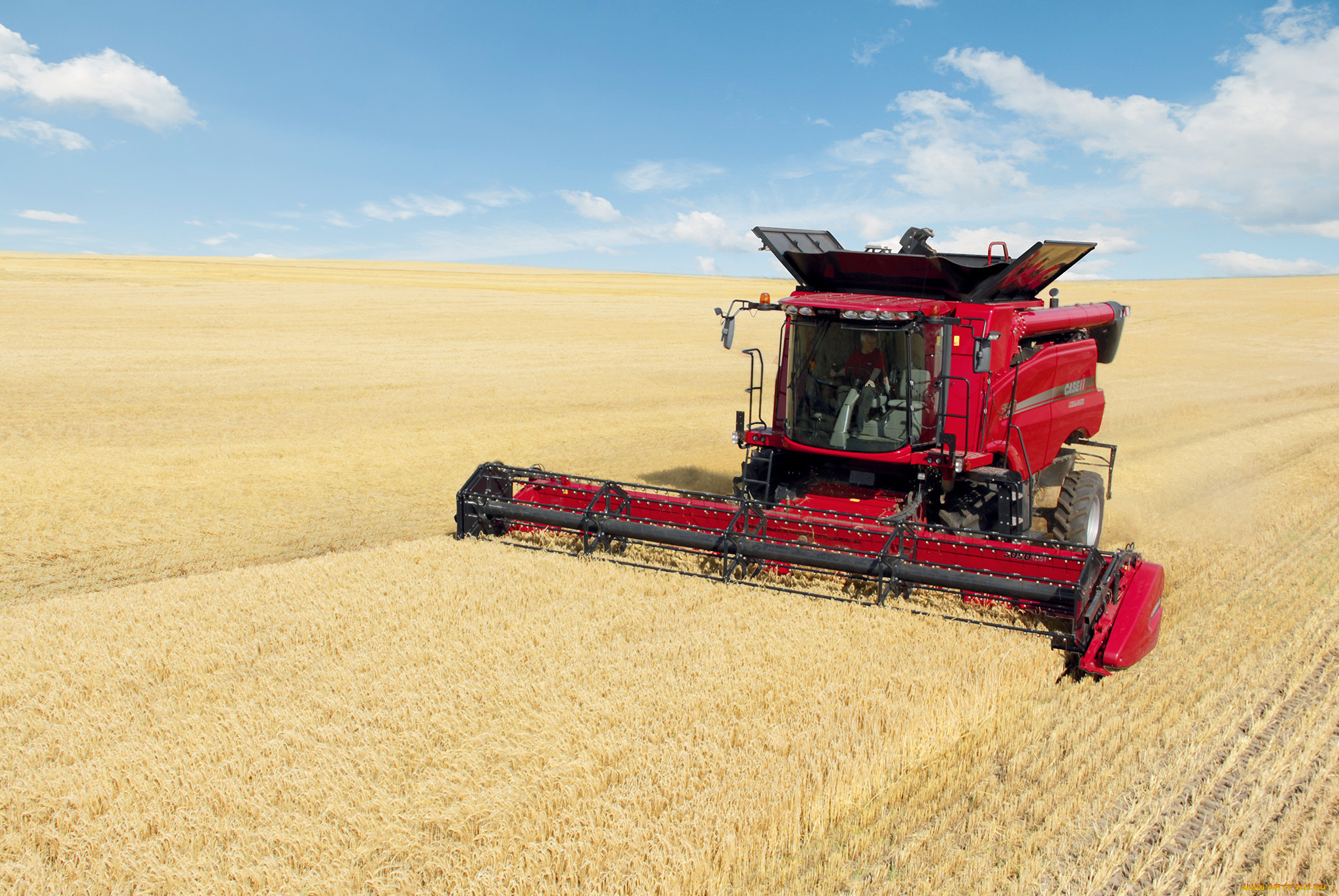 техника, комбайны, поле, жатва, комбайн