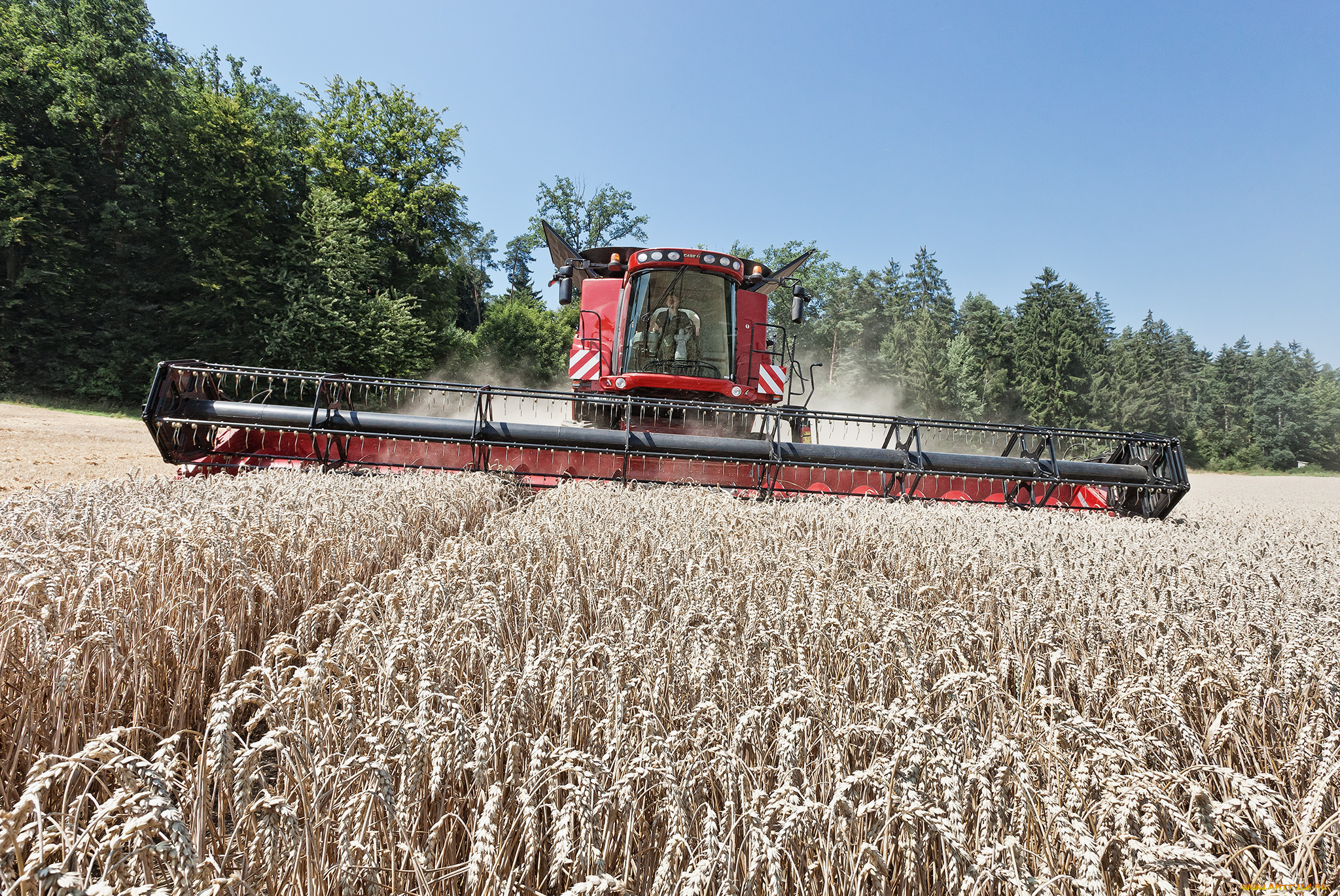 техника, комбайны, жатва, комбайн, поле