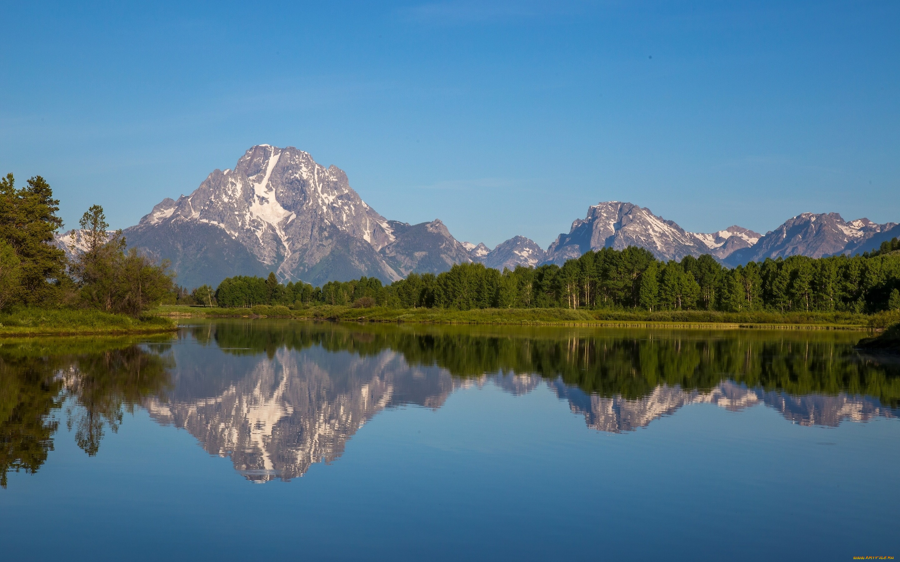 природа, реки, озера, снейк-ривер, rocky, mountains, wyoming, горы, лес, grand, teton, national, park, snake, river, mount, moran, вершины, река, скалистые, вайоминг, национальный, парк, гранд-титон, гора, моран, отражение