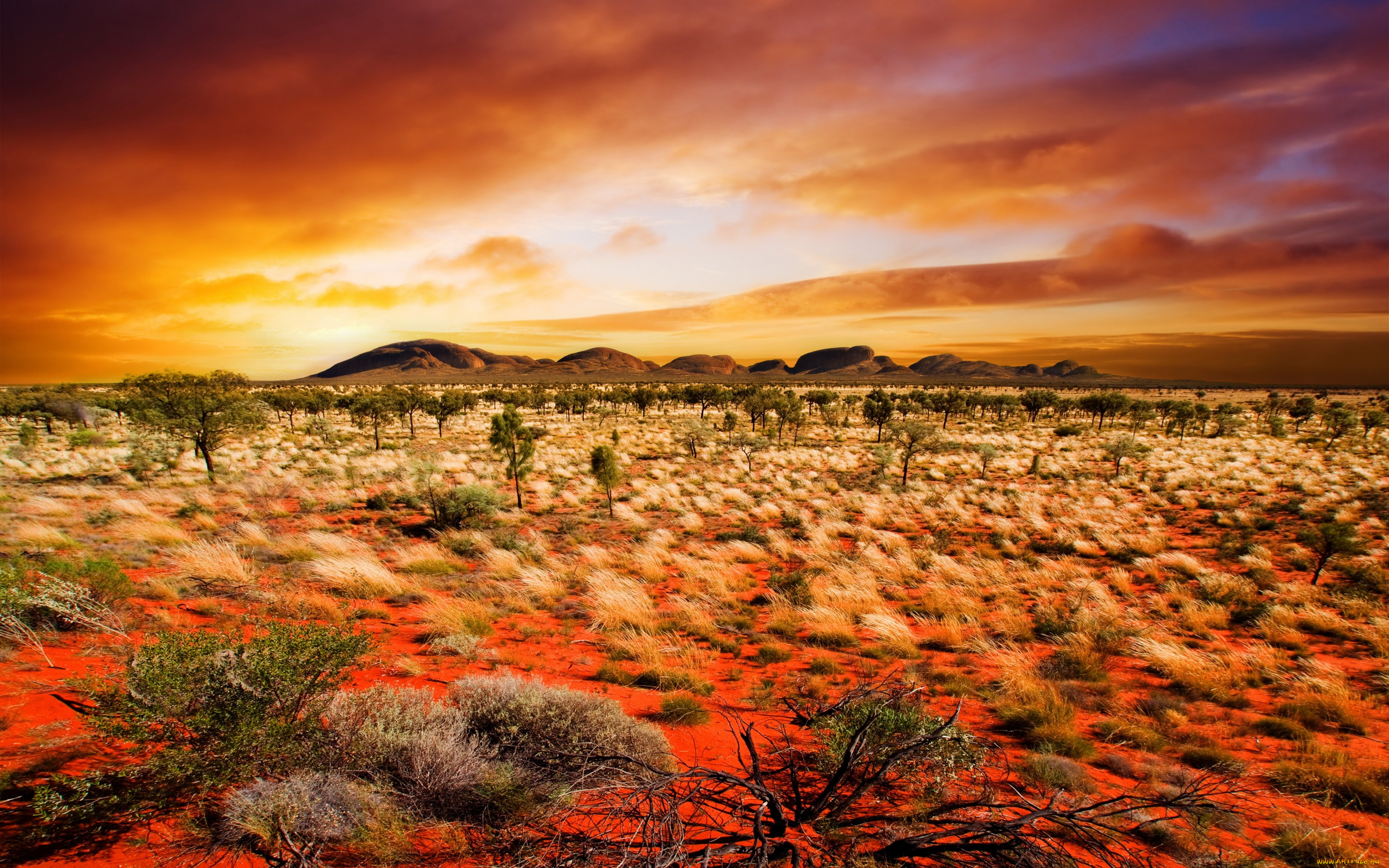 природа, восходы, закаты, поле, небо, закат, sky, nature, sunset, landscape