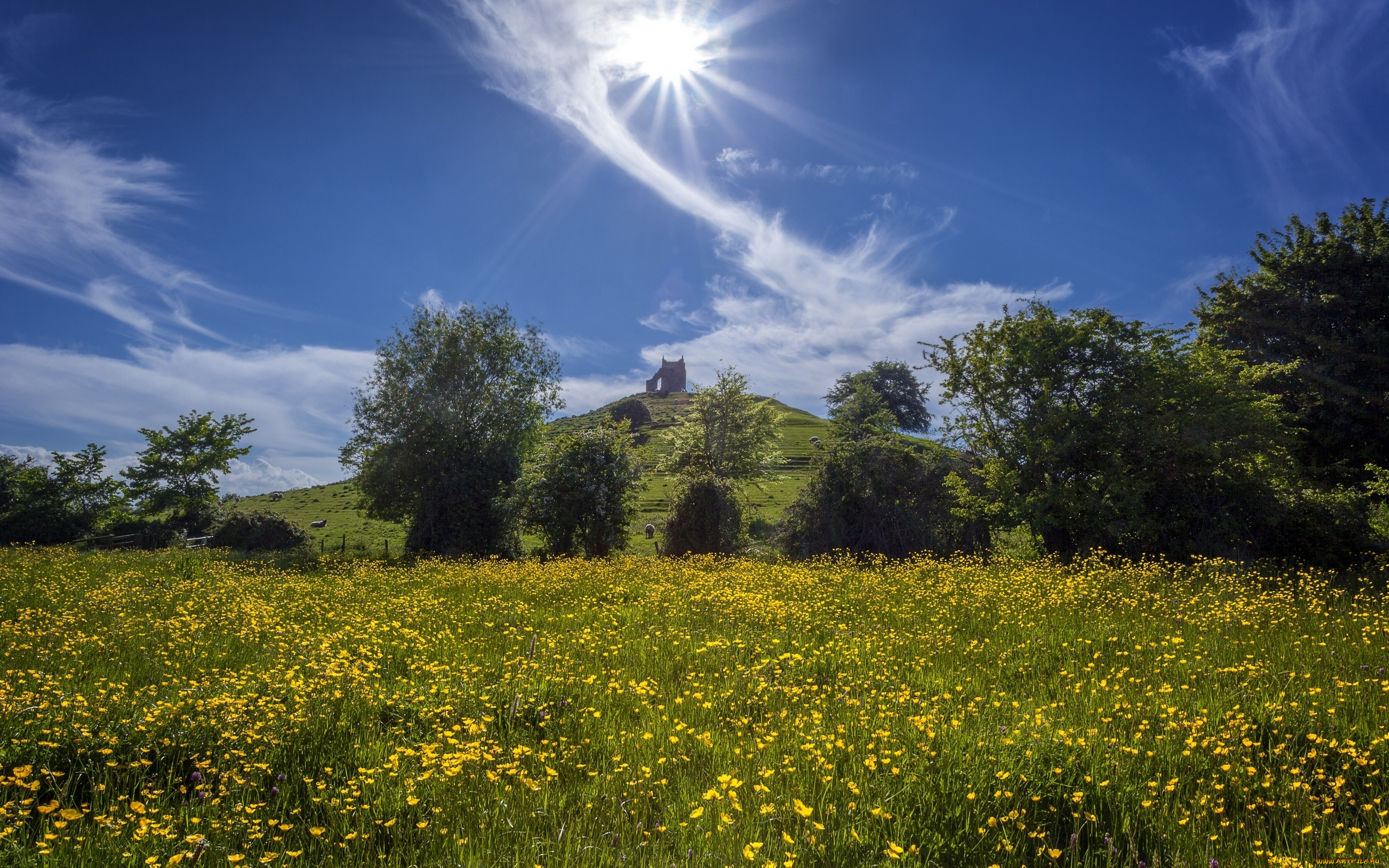 природа, восходы, закаты, сомерсет, англия, лютики, деревья, цветы, холм, луг, барроубридж, облака, небо, burrow, mump, somerset, england, burrowbridge