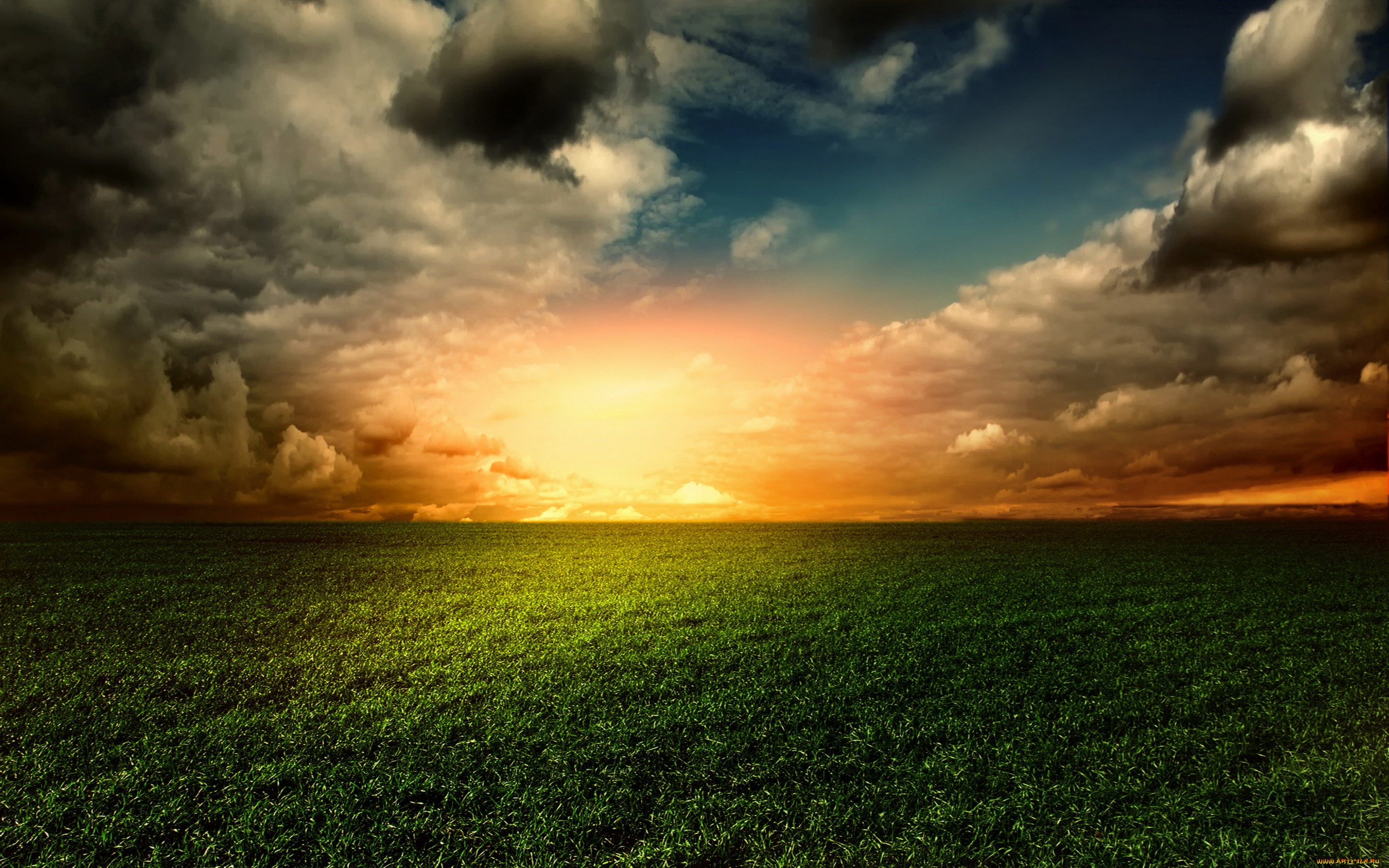 природа, восходы, закаты, sunset, sky, landscape, трава, поле, небо, закат, nature