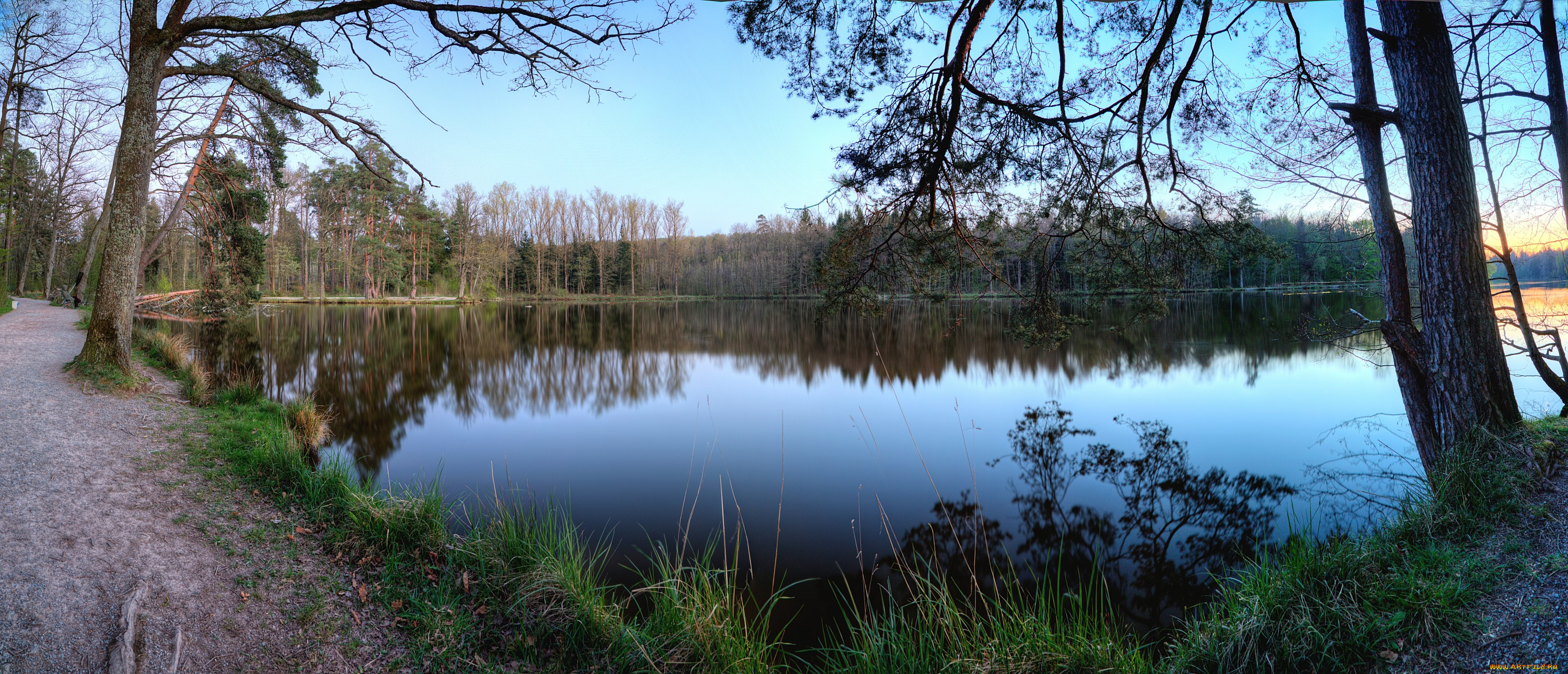 природа, реки, озера, река, лес