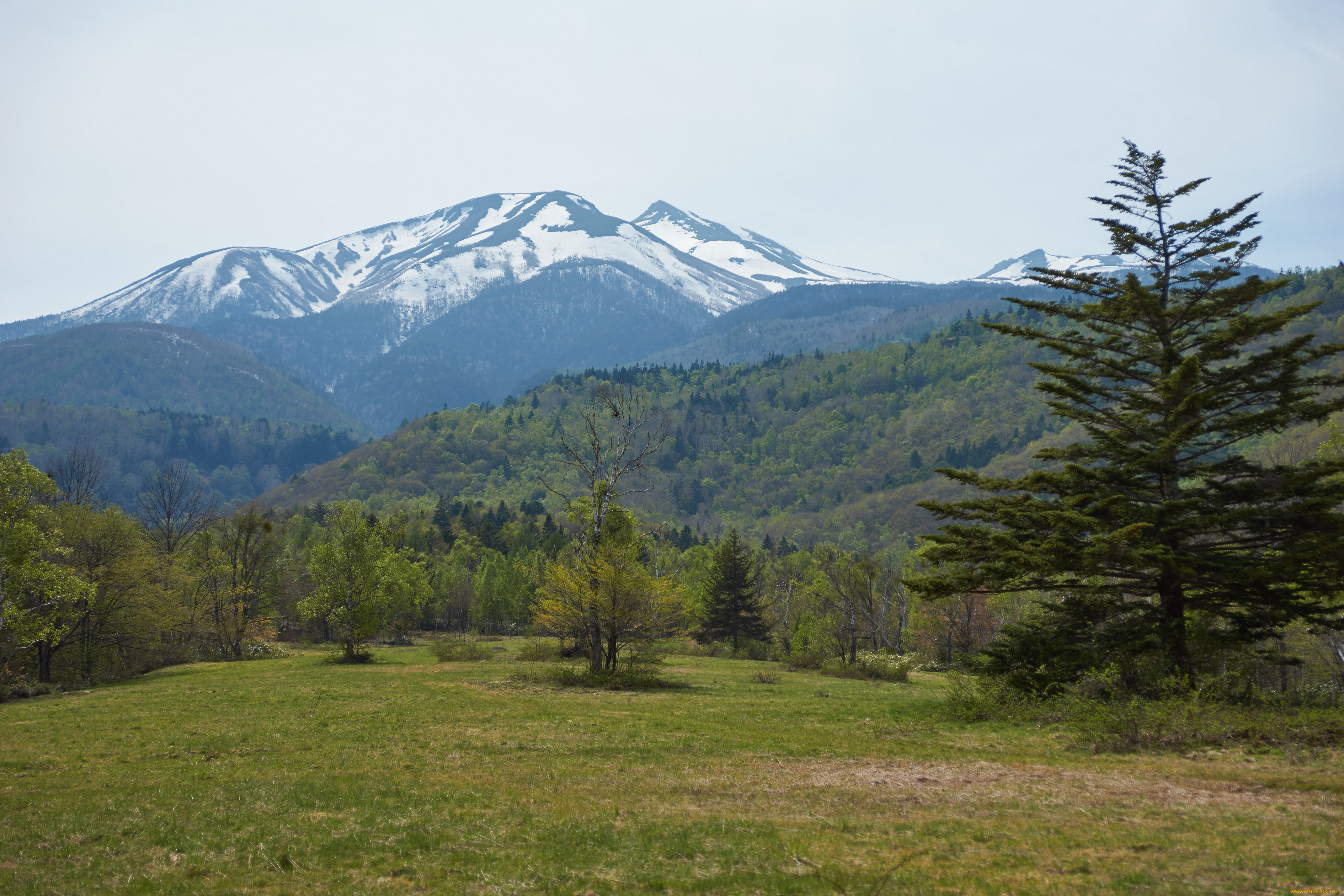 природа, горы, небо, деревья