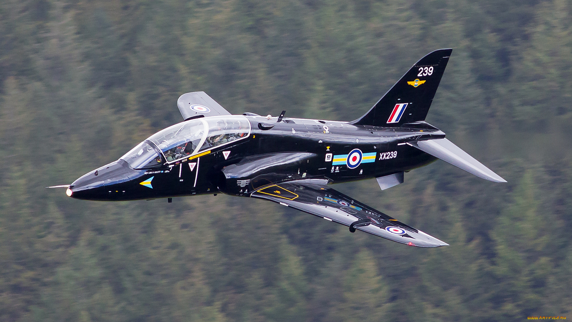 авиация, боевые, самолёты, истребитель