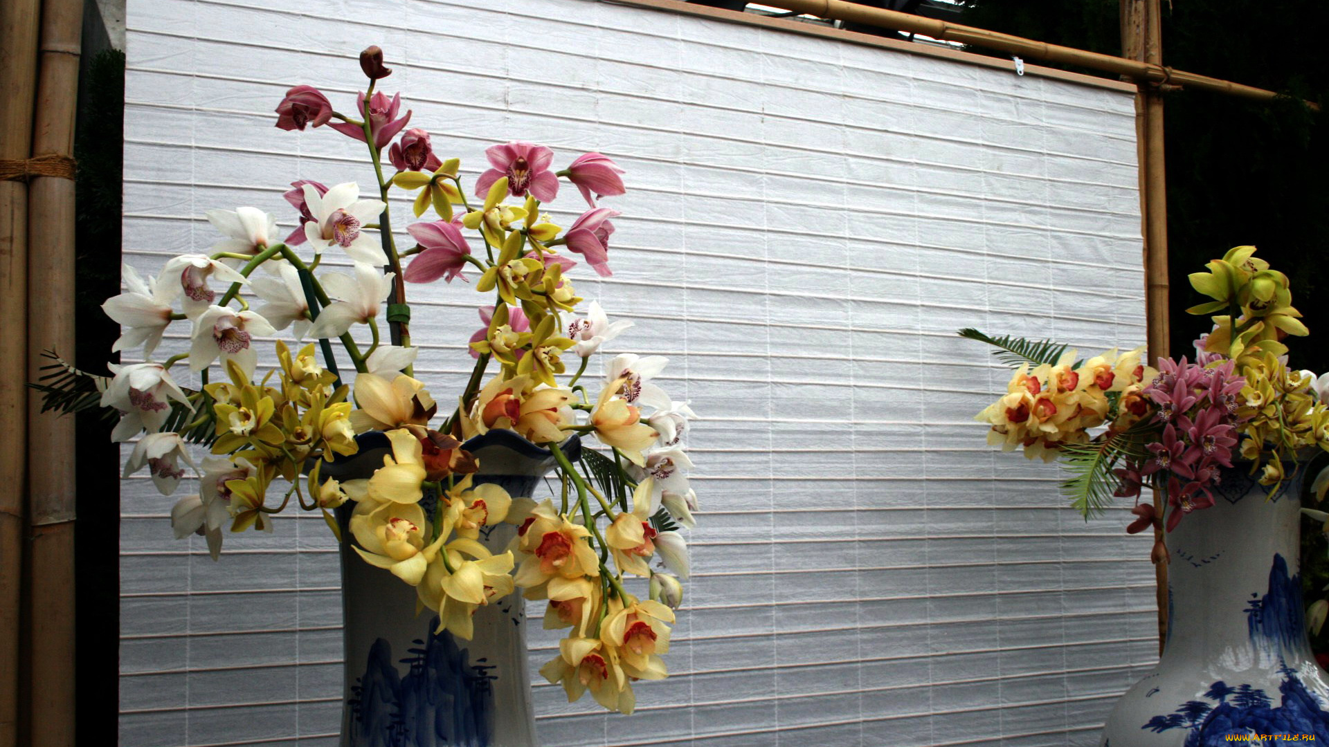 цветы, орхидеи, выставка, вазы