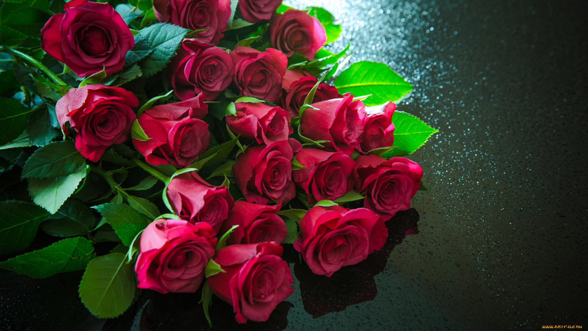 цветы, розы, розовые, бутоны, много