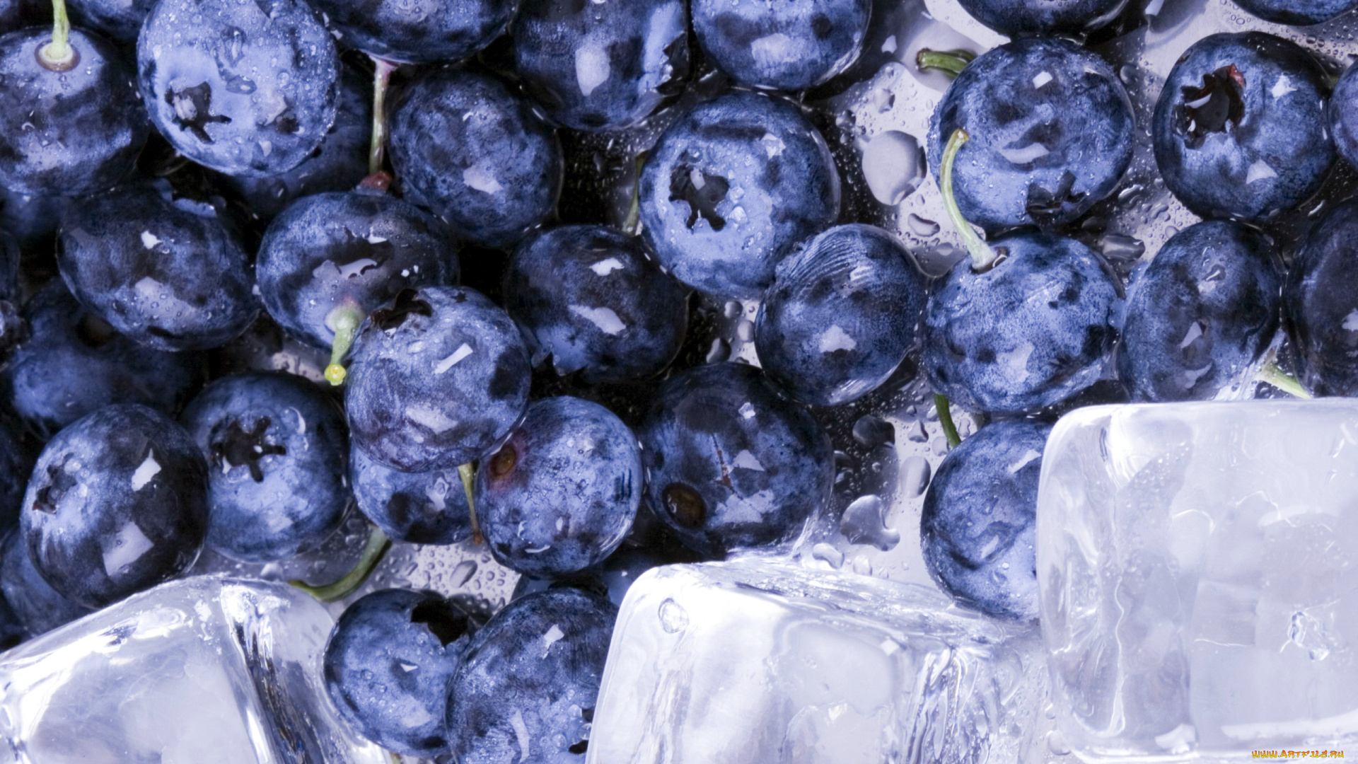 еда, голубика, , черника, ягоды, черника, лед