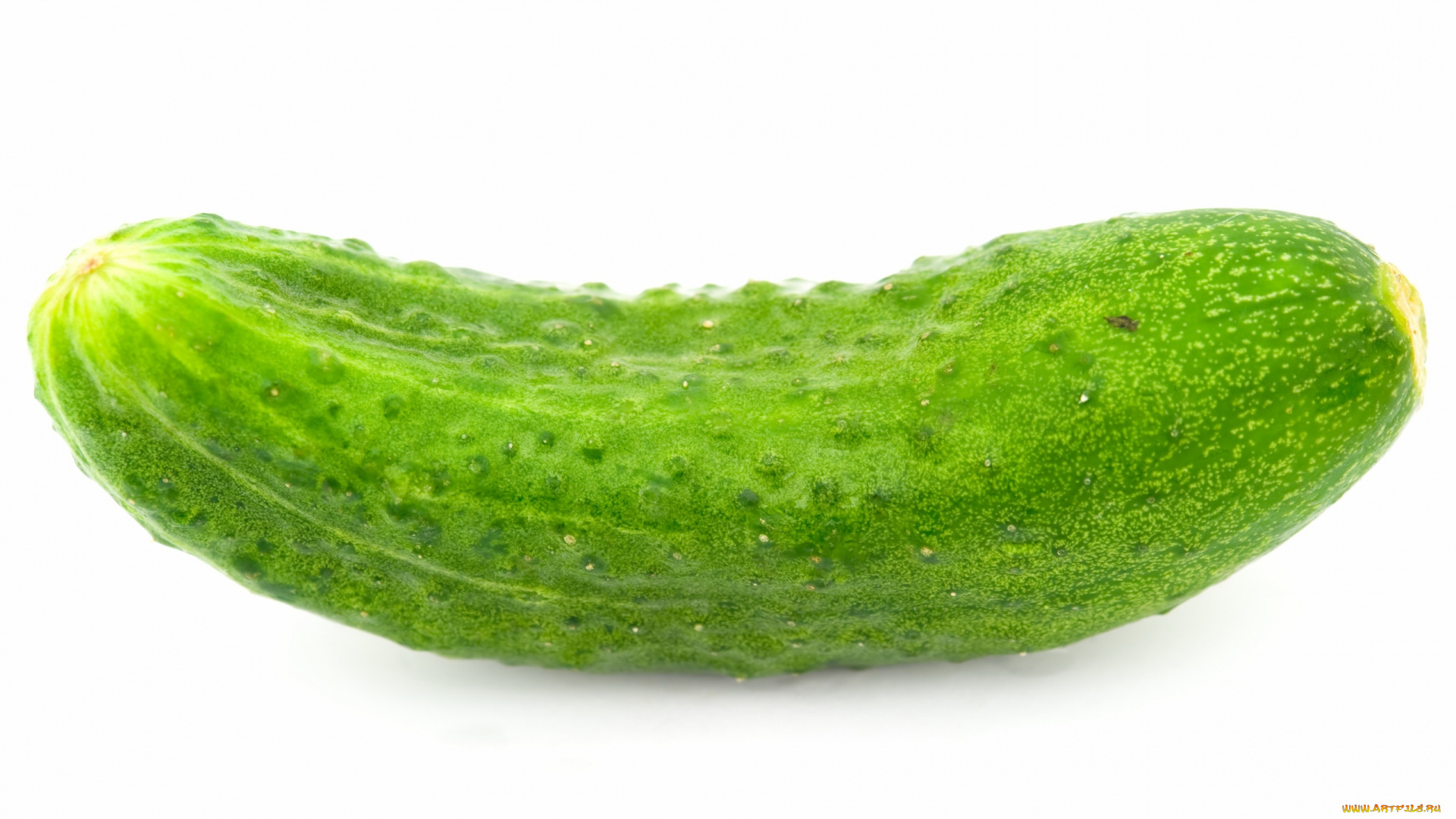 еда, огурцы, зеленый