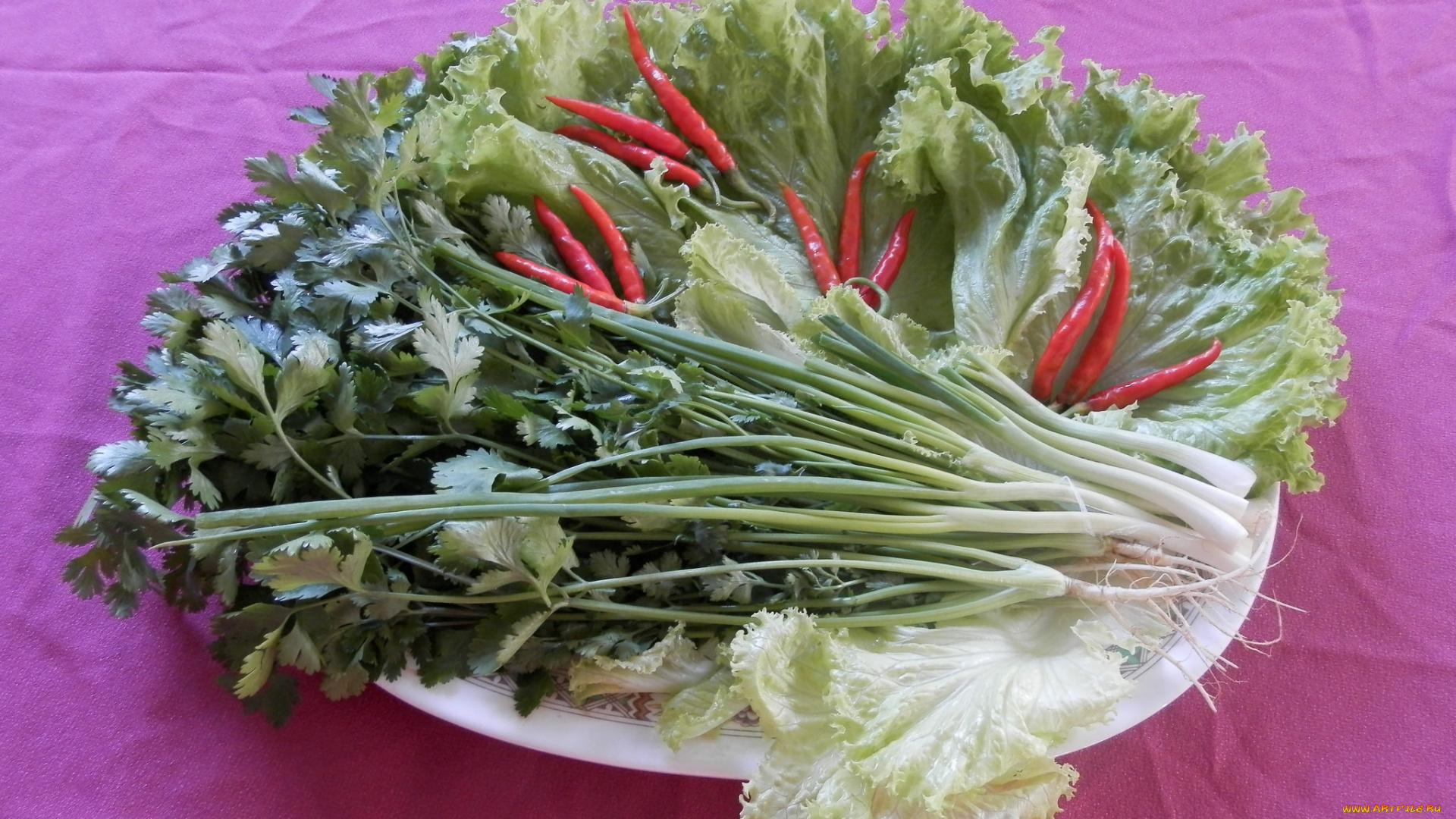 еда, овощи, зелень