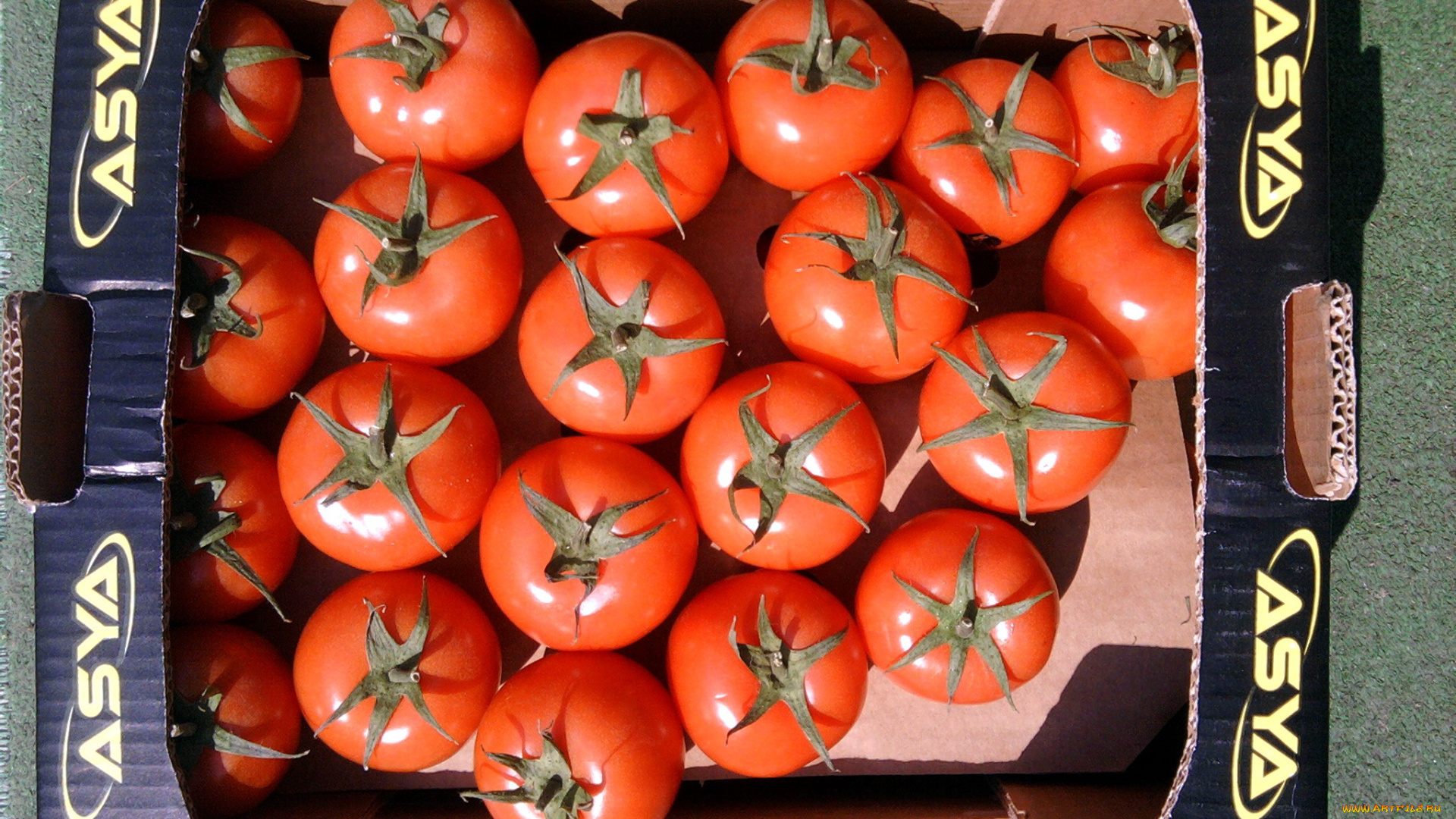 еда, помидоры, томаты, ящик
