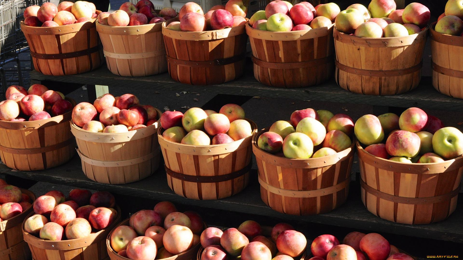 еда, Яблоки, урожай