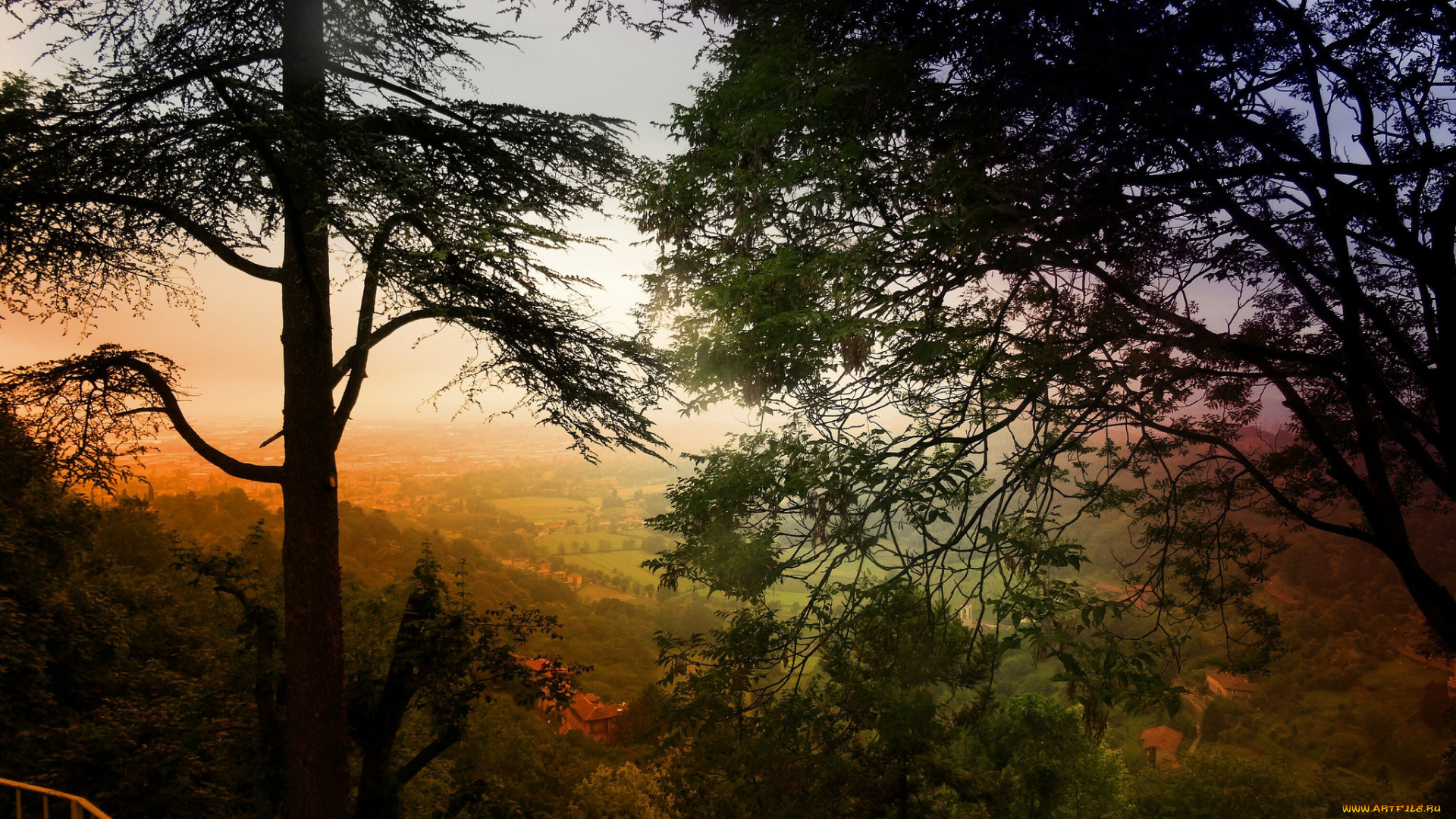 природа, пейзажи, кроны