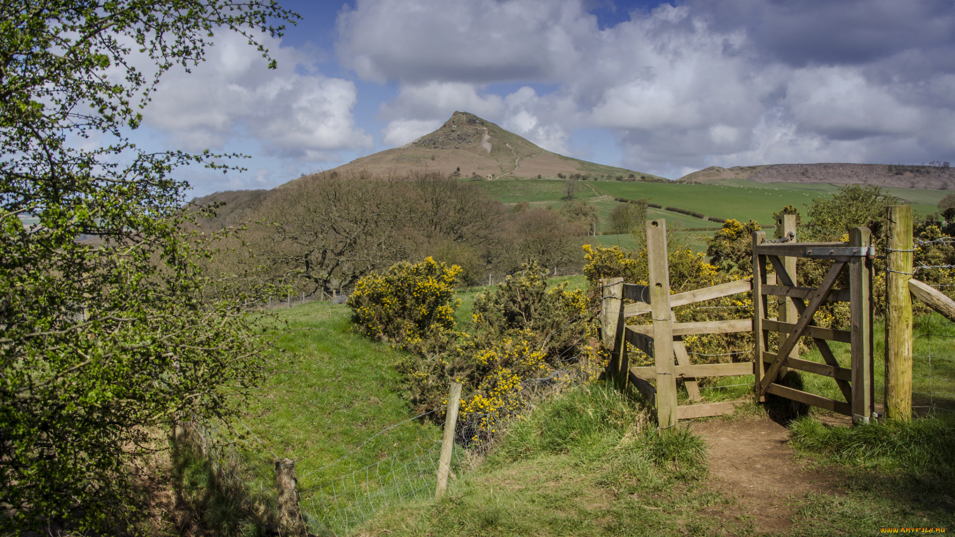 природа, пейзажи, ландшафт