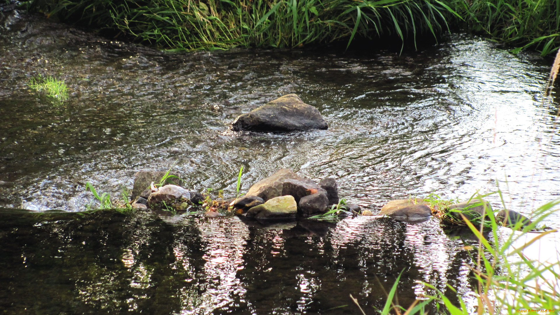 природа, реки, озера, камни, вода, трава