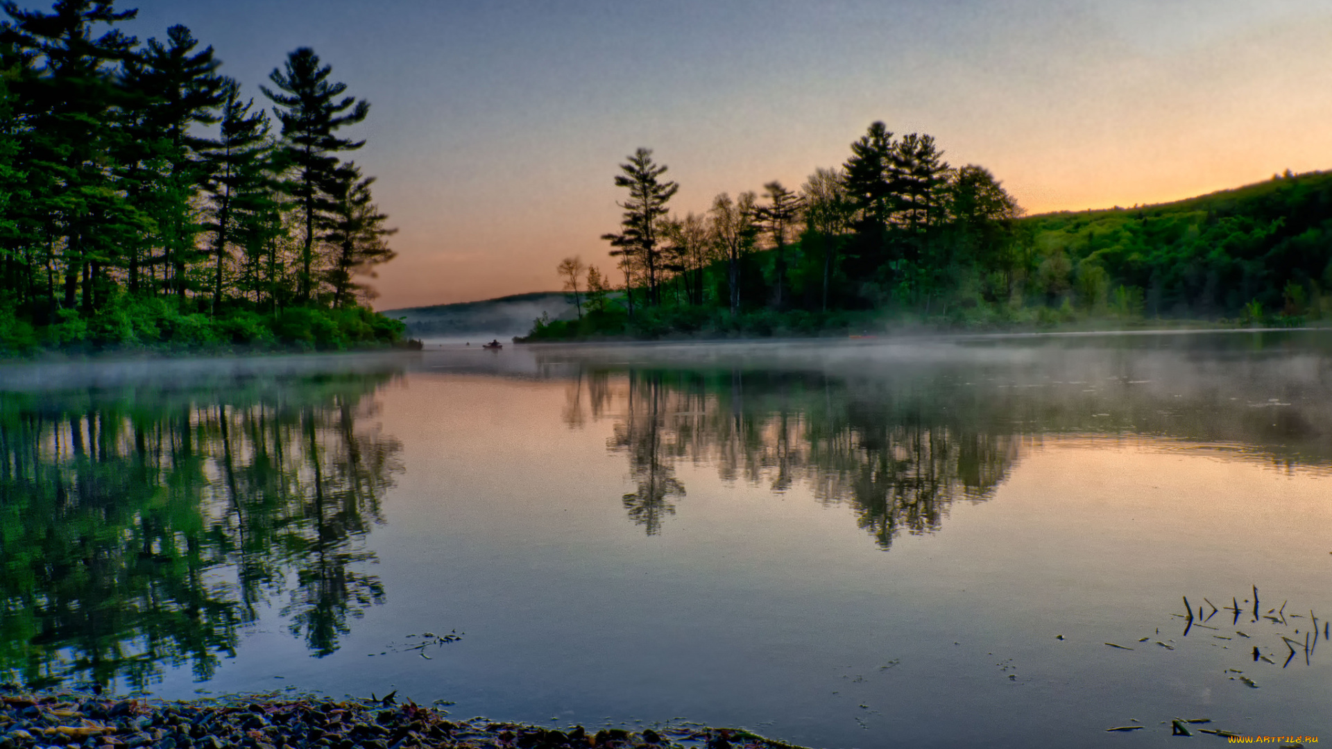 природа, реки, озера, река, лес