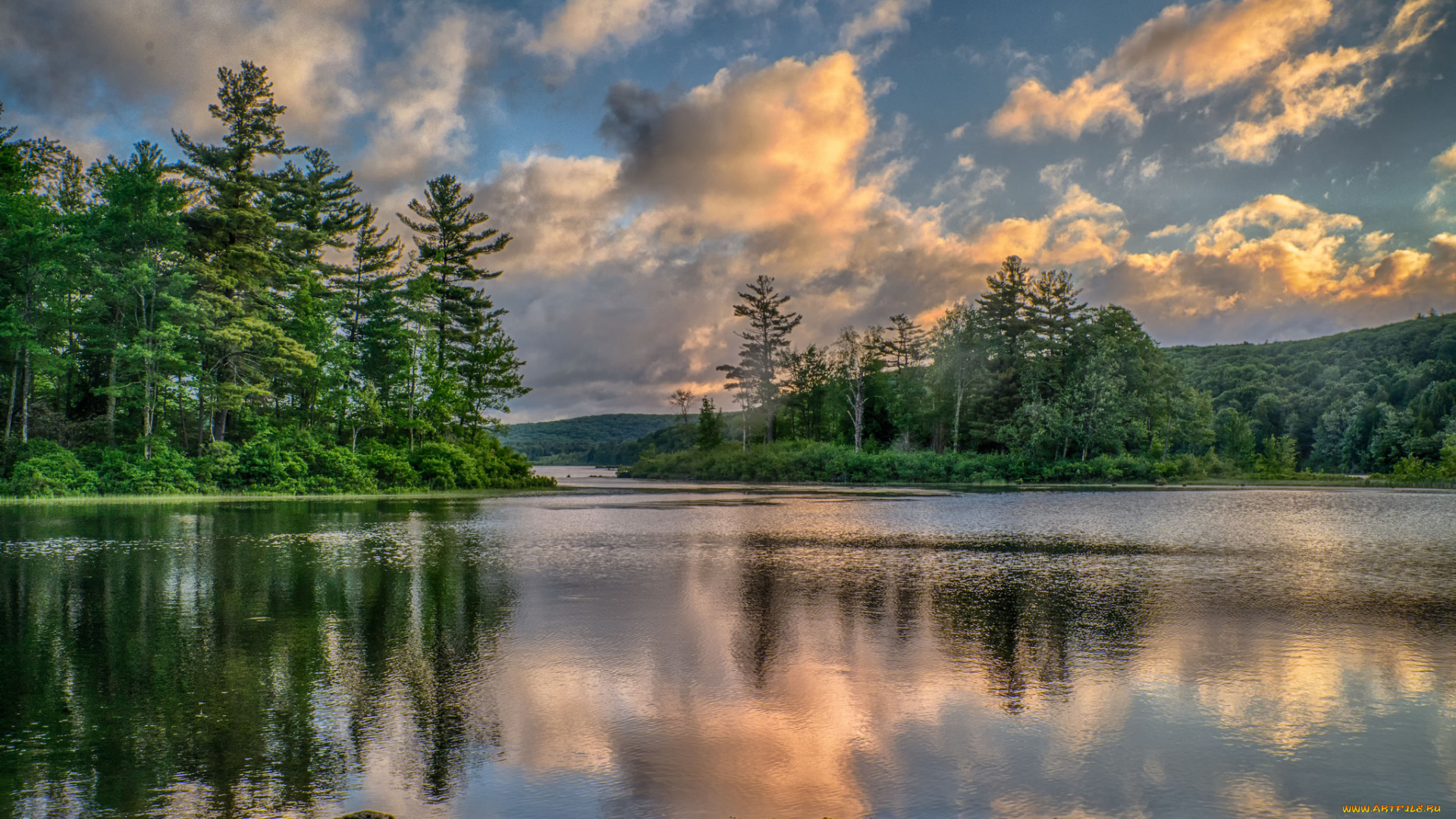 природа, реки, озера, река, лес