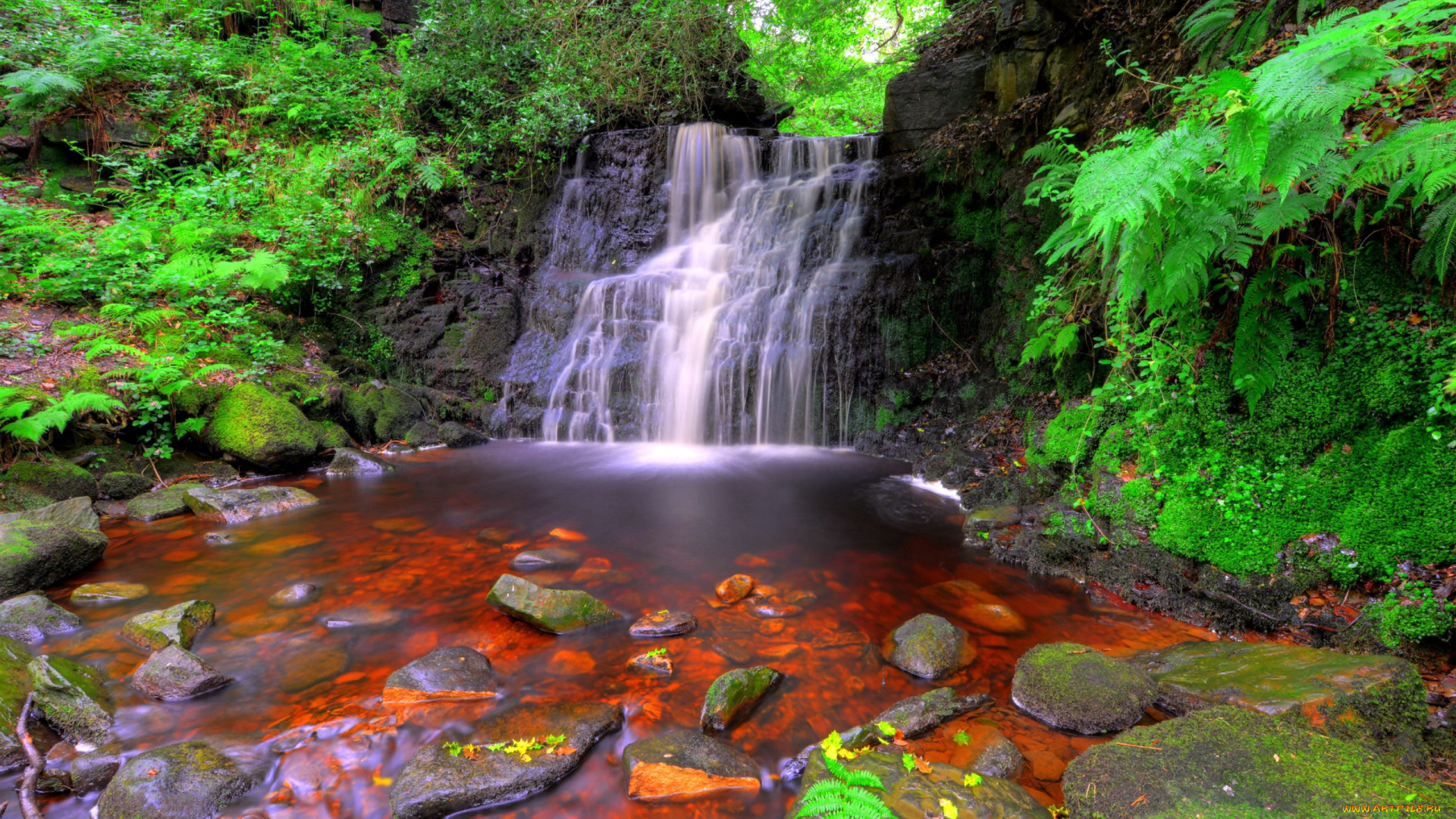 природа, водопады, камни, папоротник