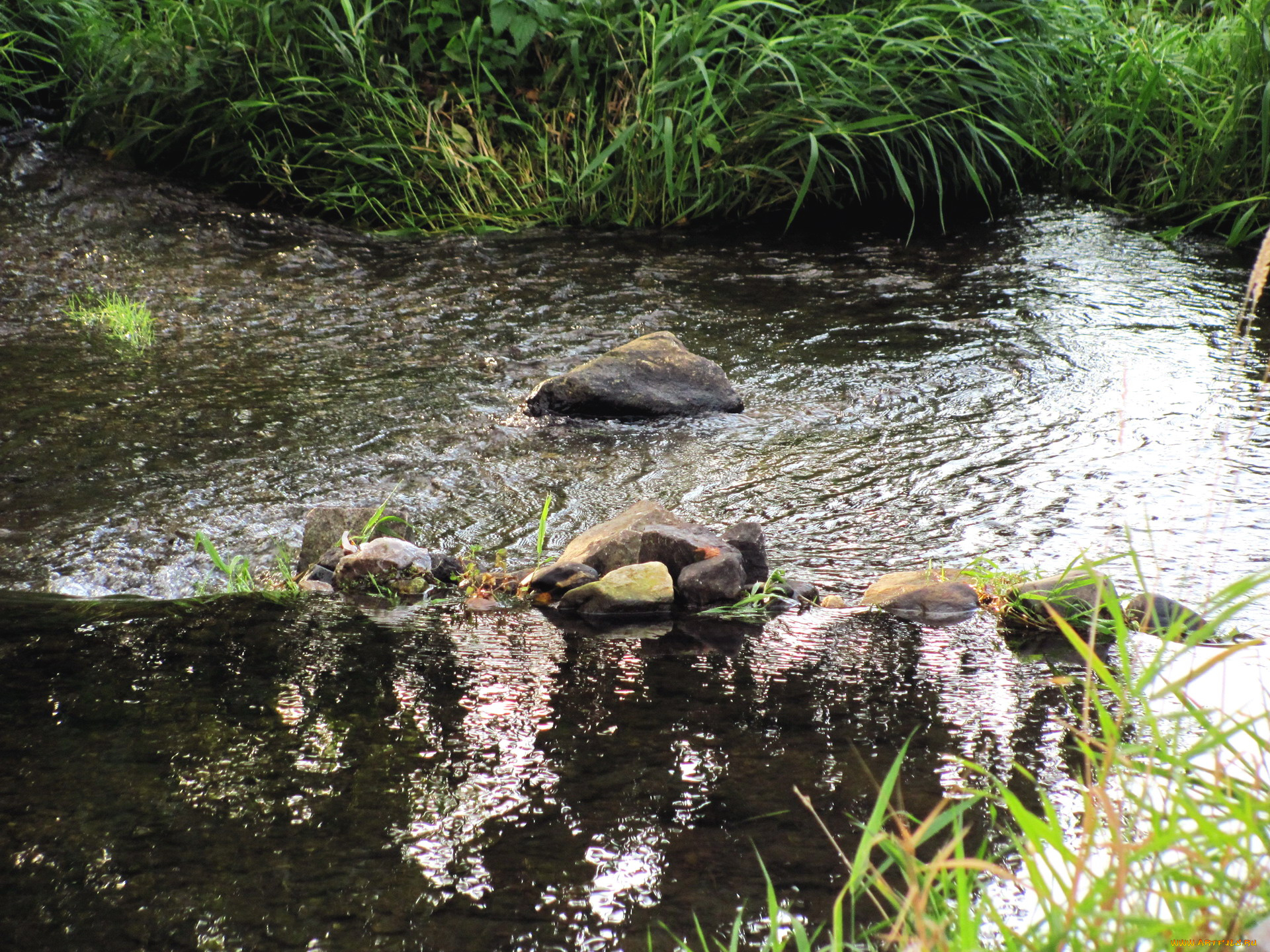 природа, реки, озера, камни, вода, трава