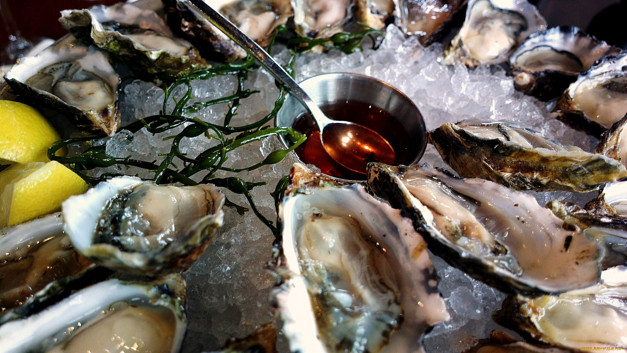 еда, рыба, , морепродукты, , суши, , роллы, моллюски