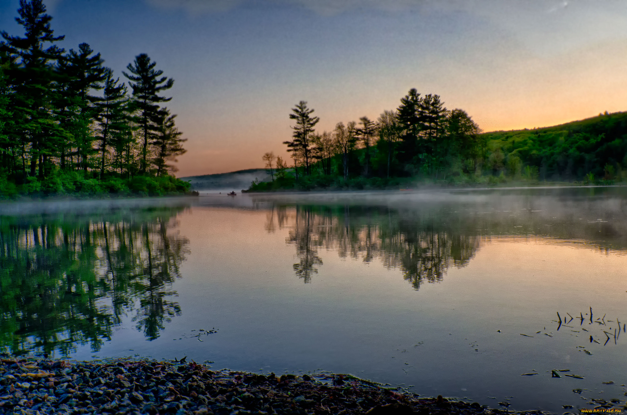 природа, реки, озера, река, лес