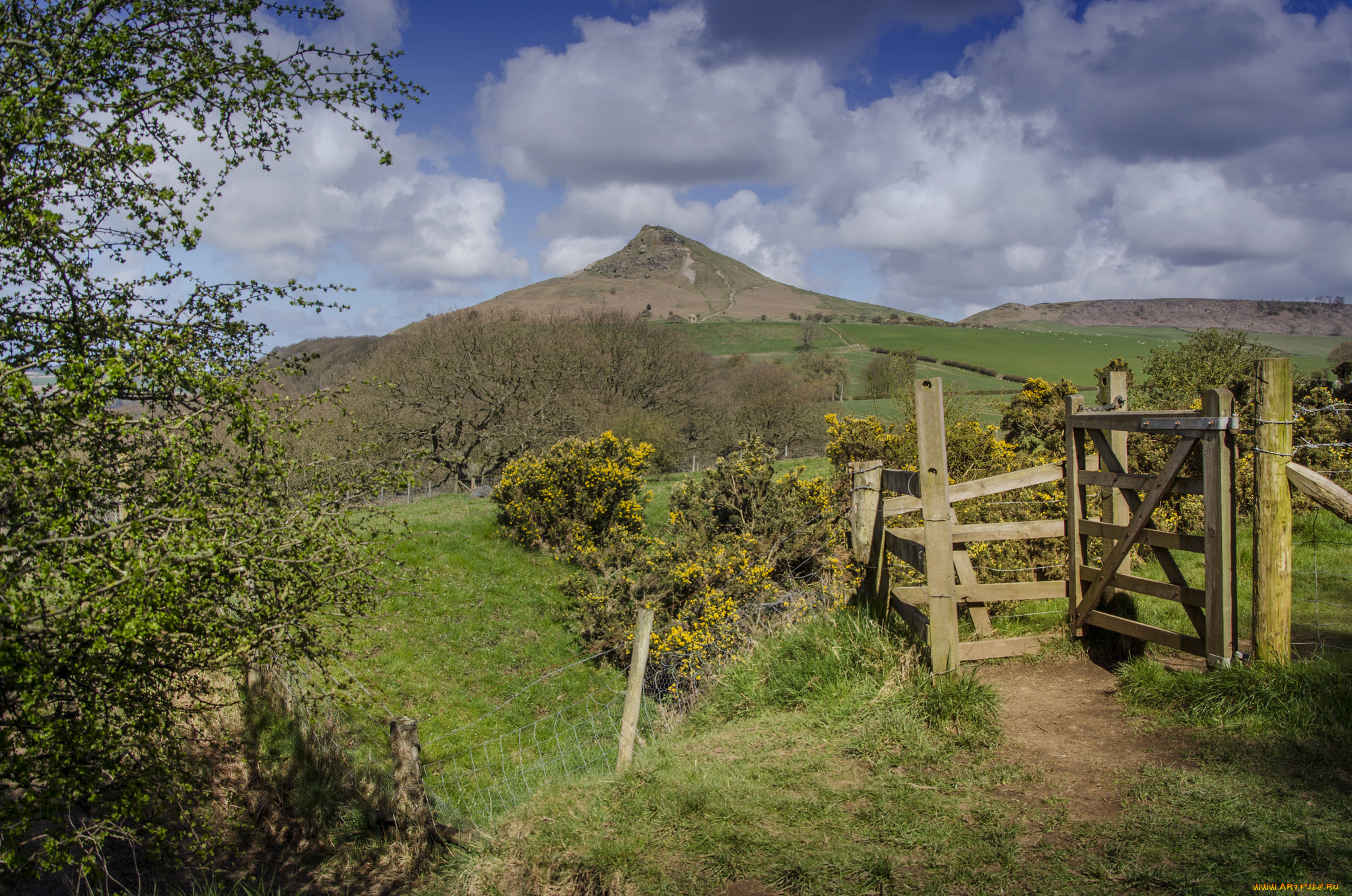 природа, пейзажи, ландшафт