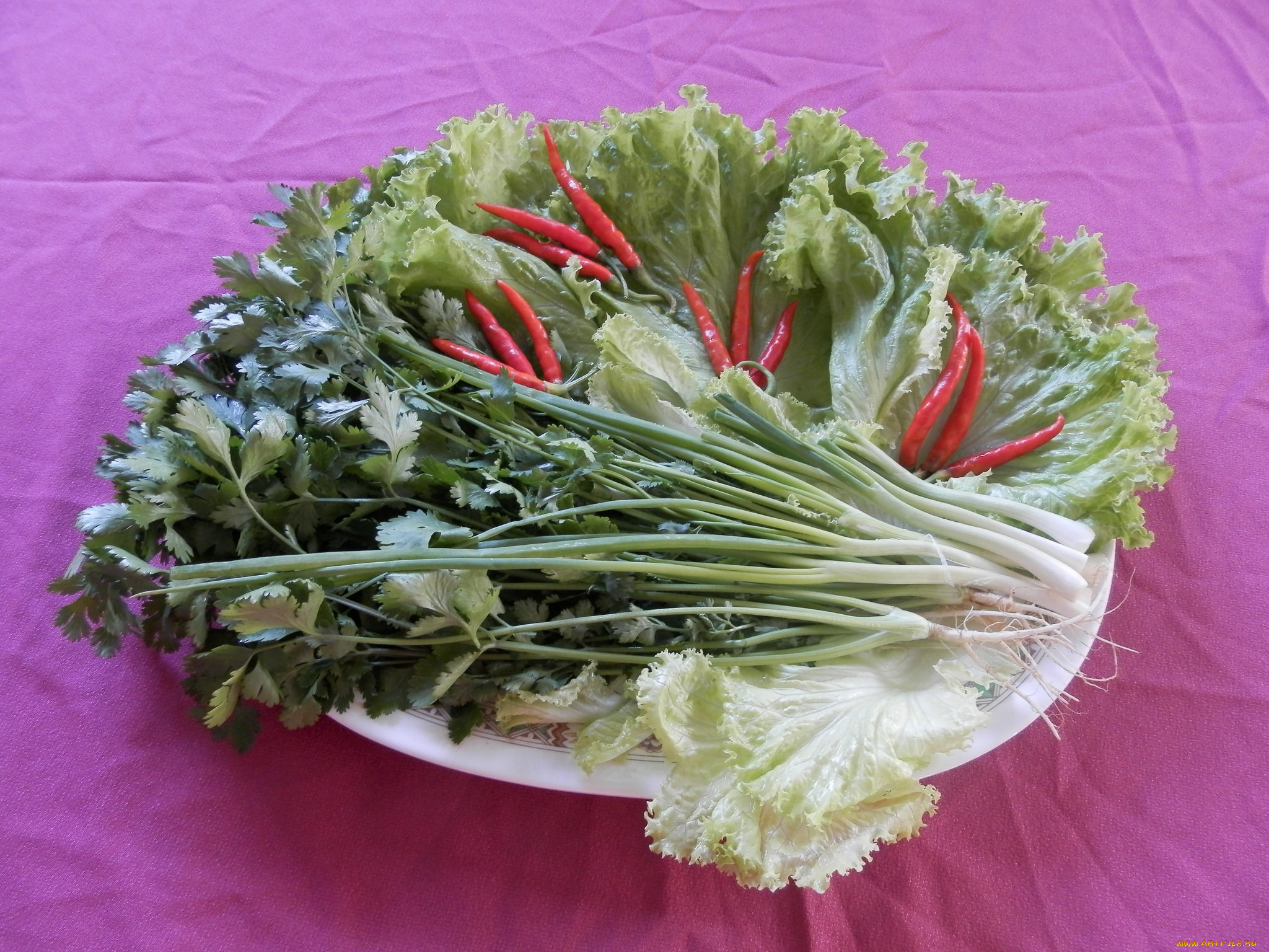 еда, овощи, зелень