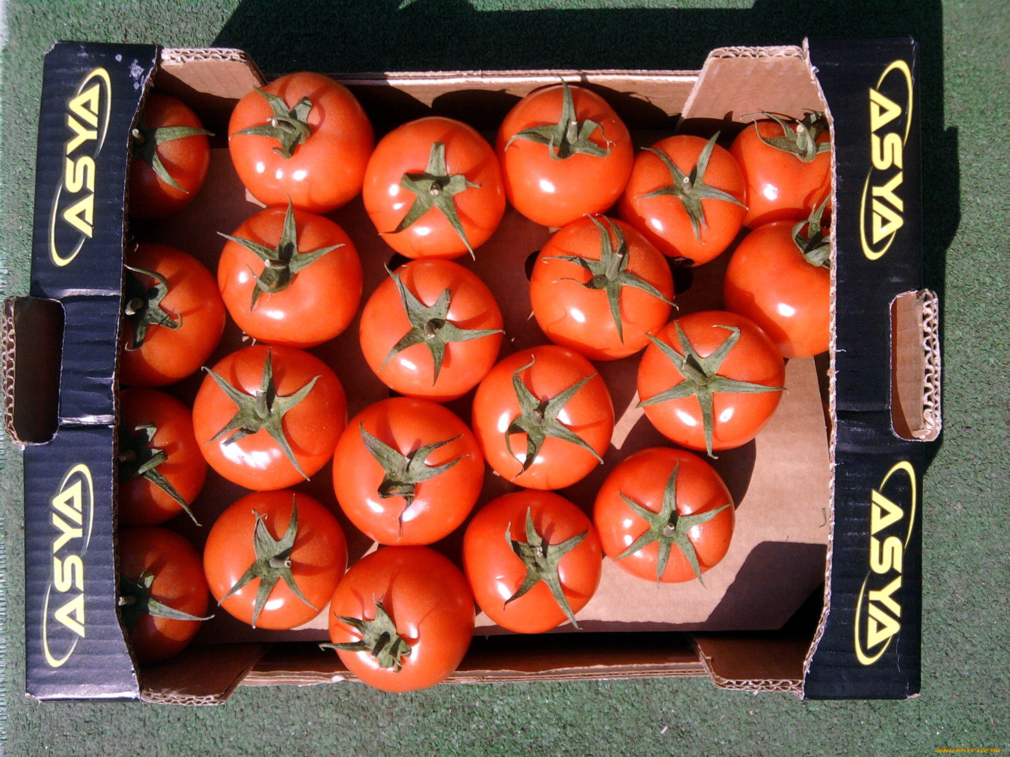 еда, помидоры, томаты, ящик