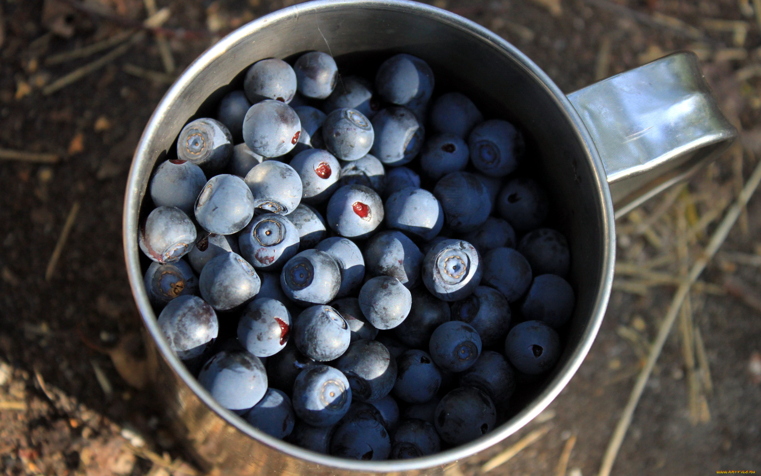 еда, голубика, , черника, ягоды, черника, кружка