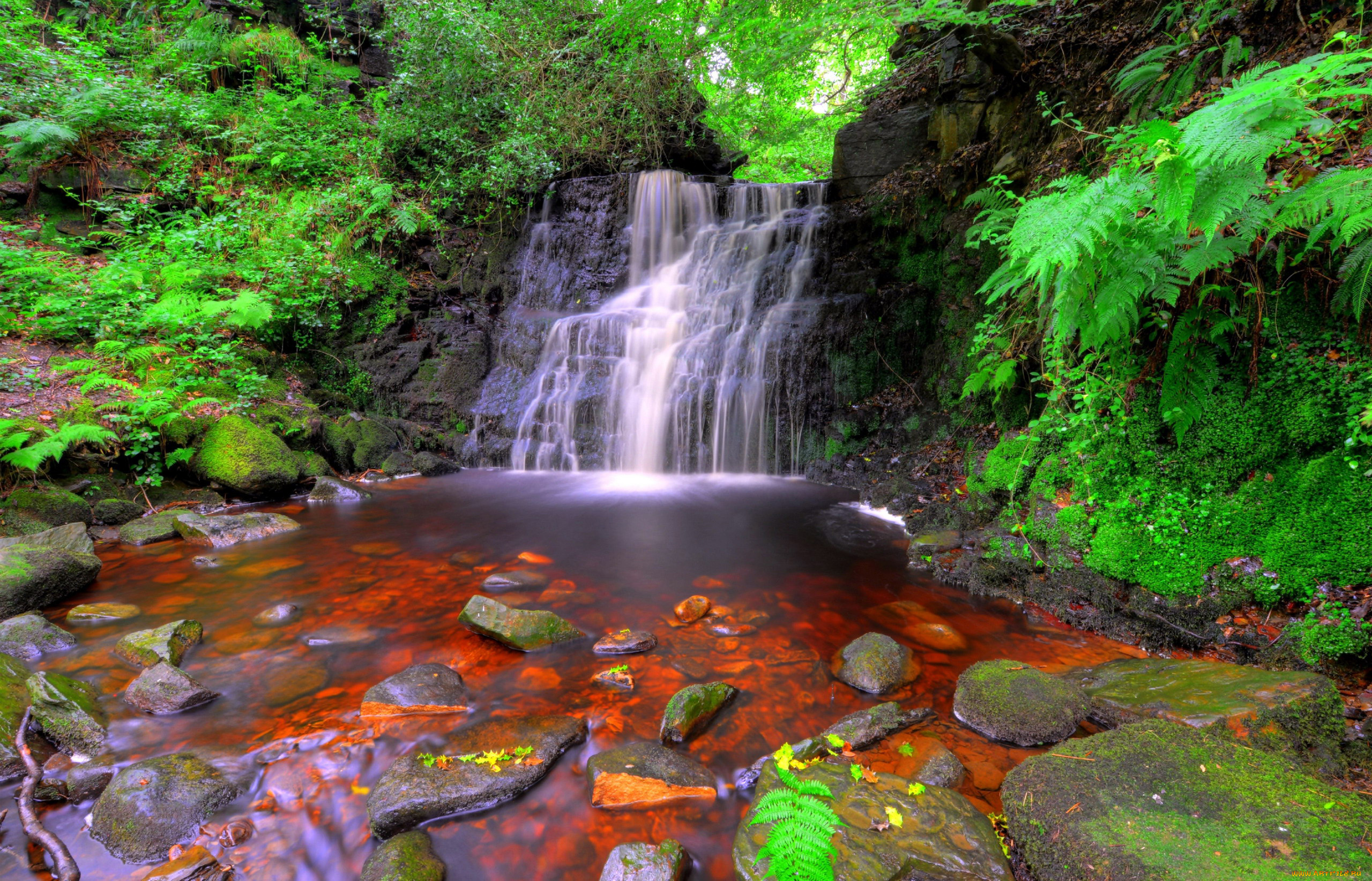 природа, водопады, камни, папоротник