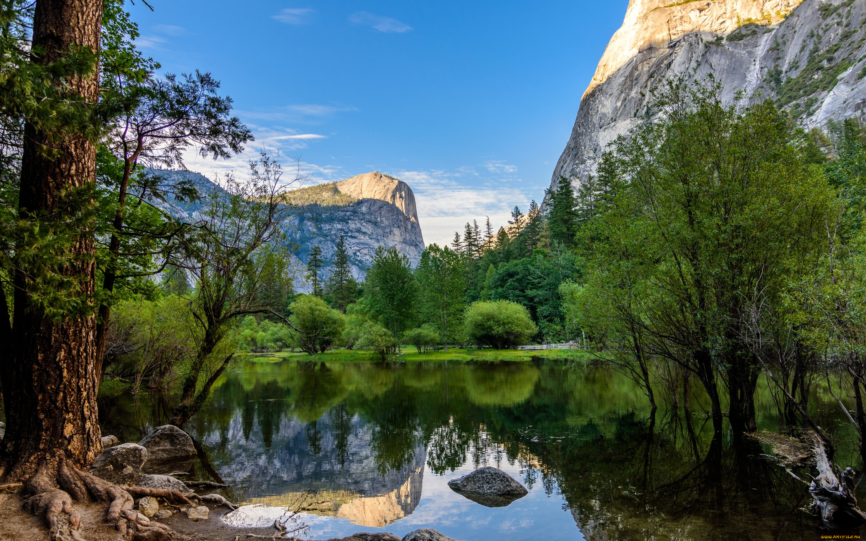 природа, реки, озера, деревья, невада, отражение, горы, озеро