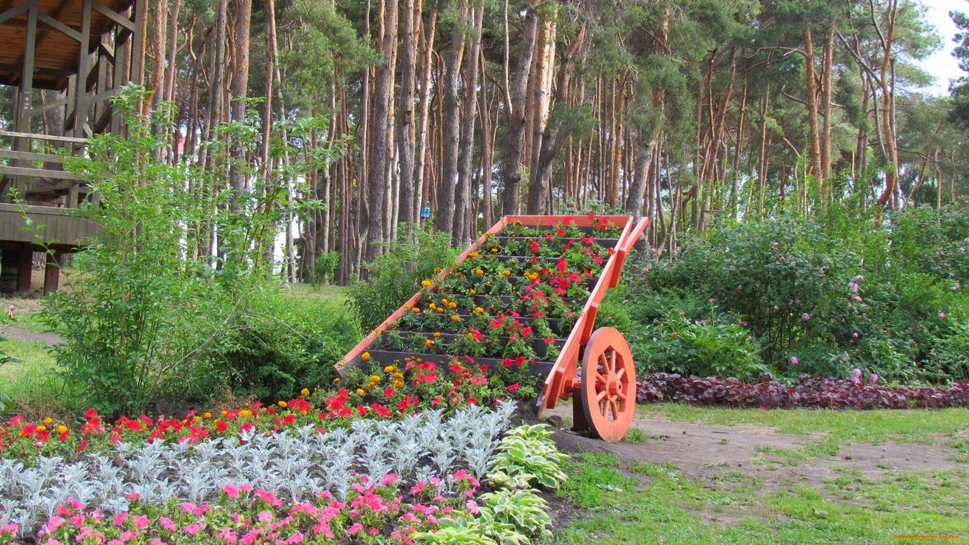 цветы, разные, вместе, колесо, трава, деревья