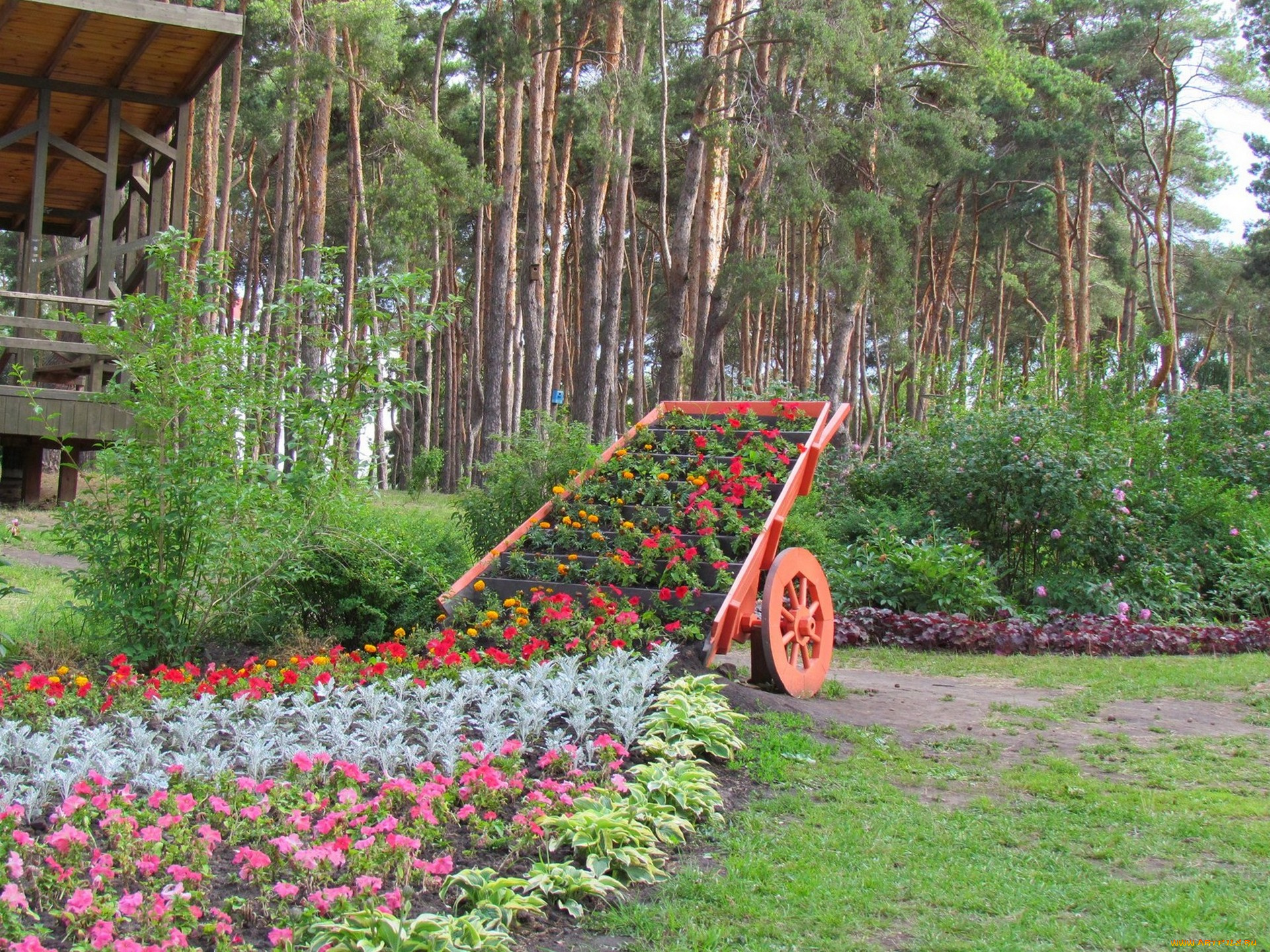 цветы, разные, вместе, колесо, трава, деревья