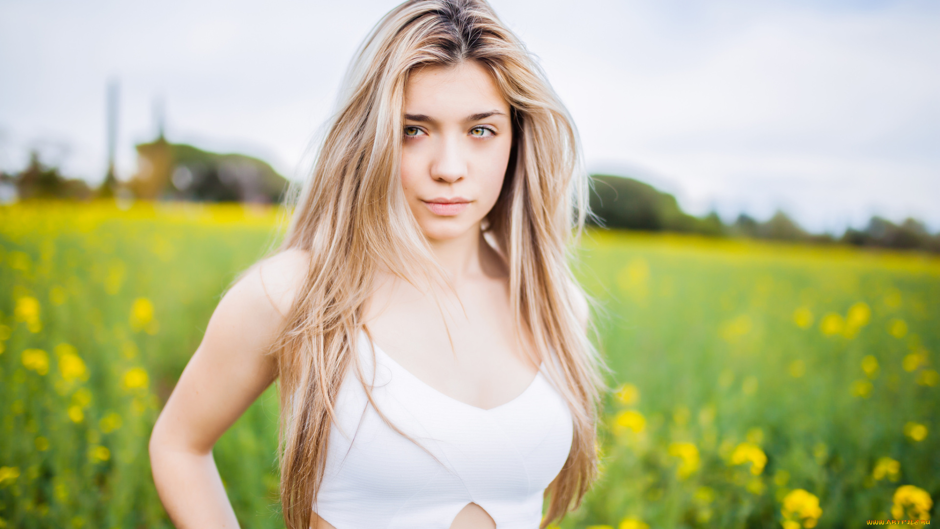 девушка, девушки, -unsort, , блондинки, , светловолосые, модель