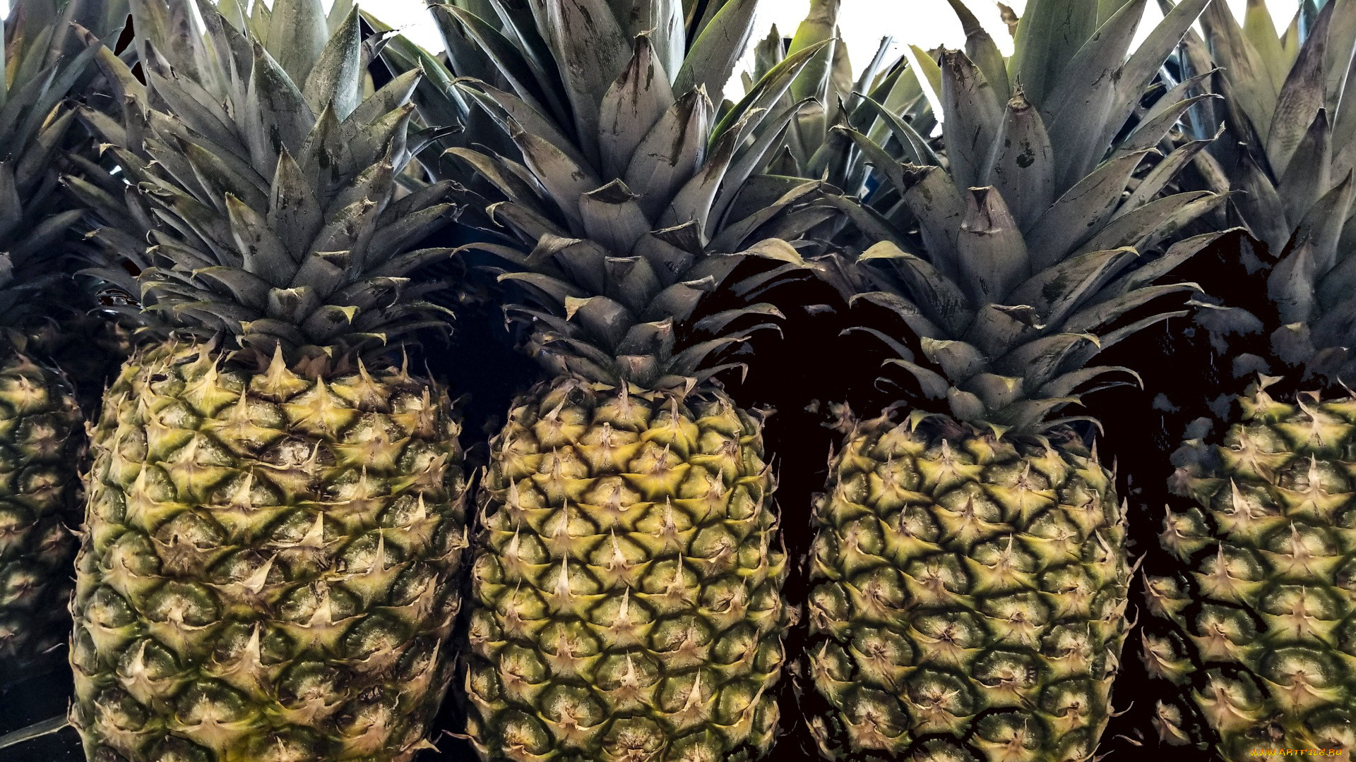 еда, ананас, фрукт